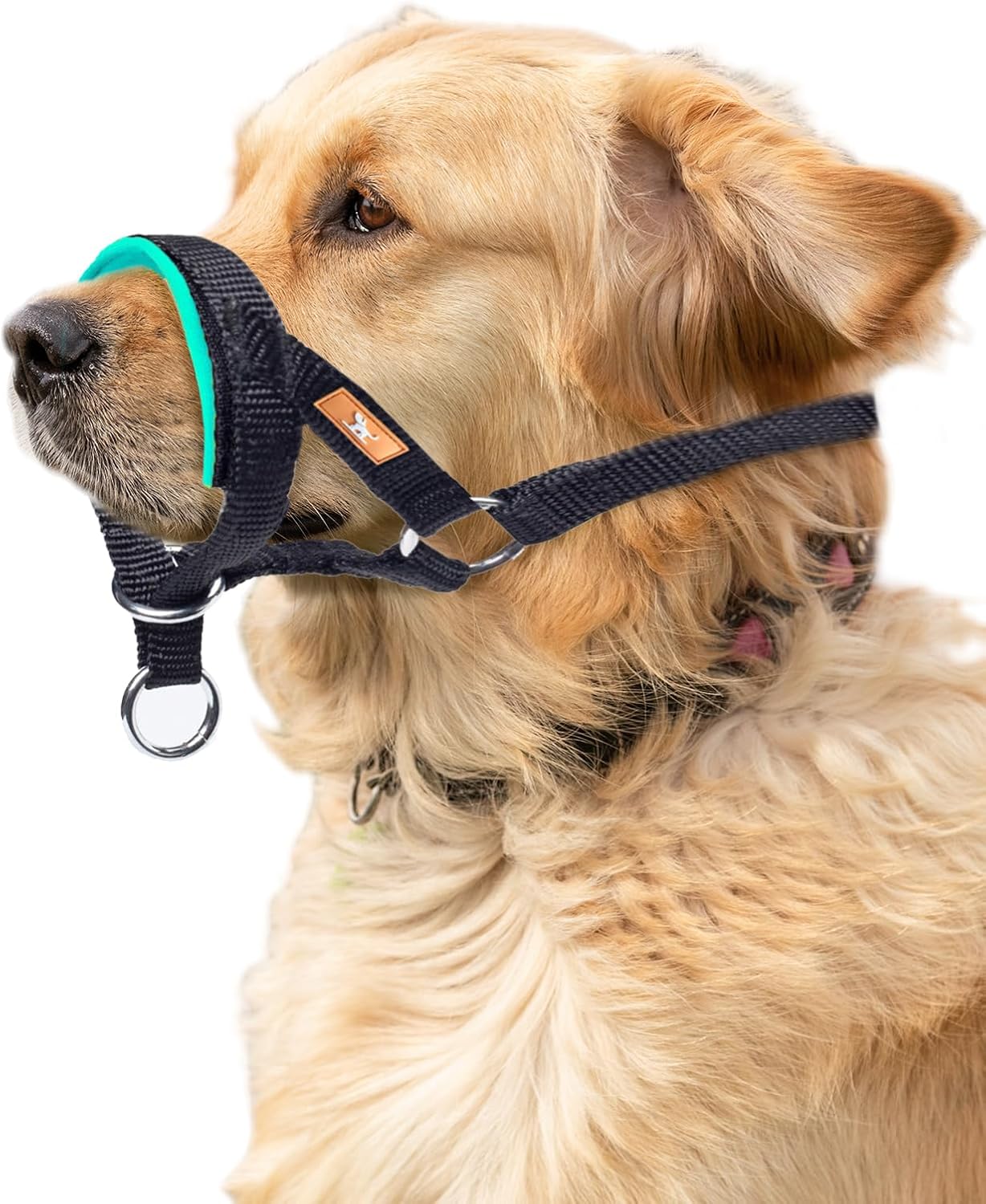 Dog Head Collar with Soft Fabric, Head Harness Stops Dog Pulling, Head Leash for Small Medium Large Dogs Walking (M, Green) M Green