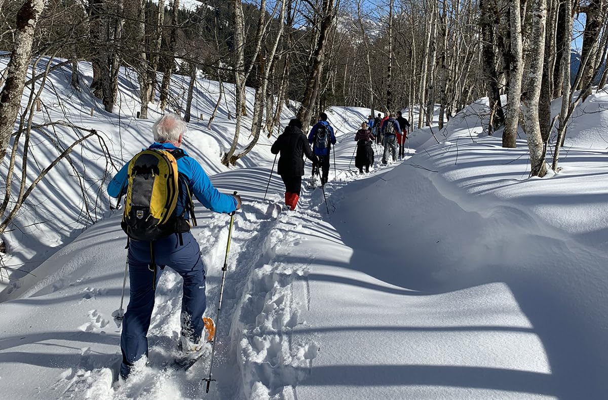 JOCHEN SCHWEIZER Geschenkgutschein: Schneeschuh Wanderung Schladming