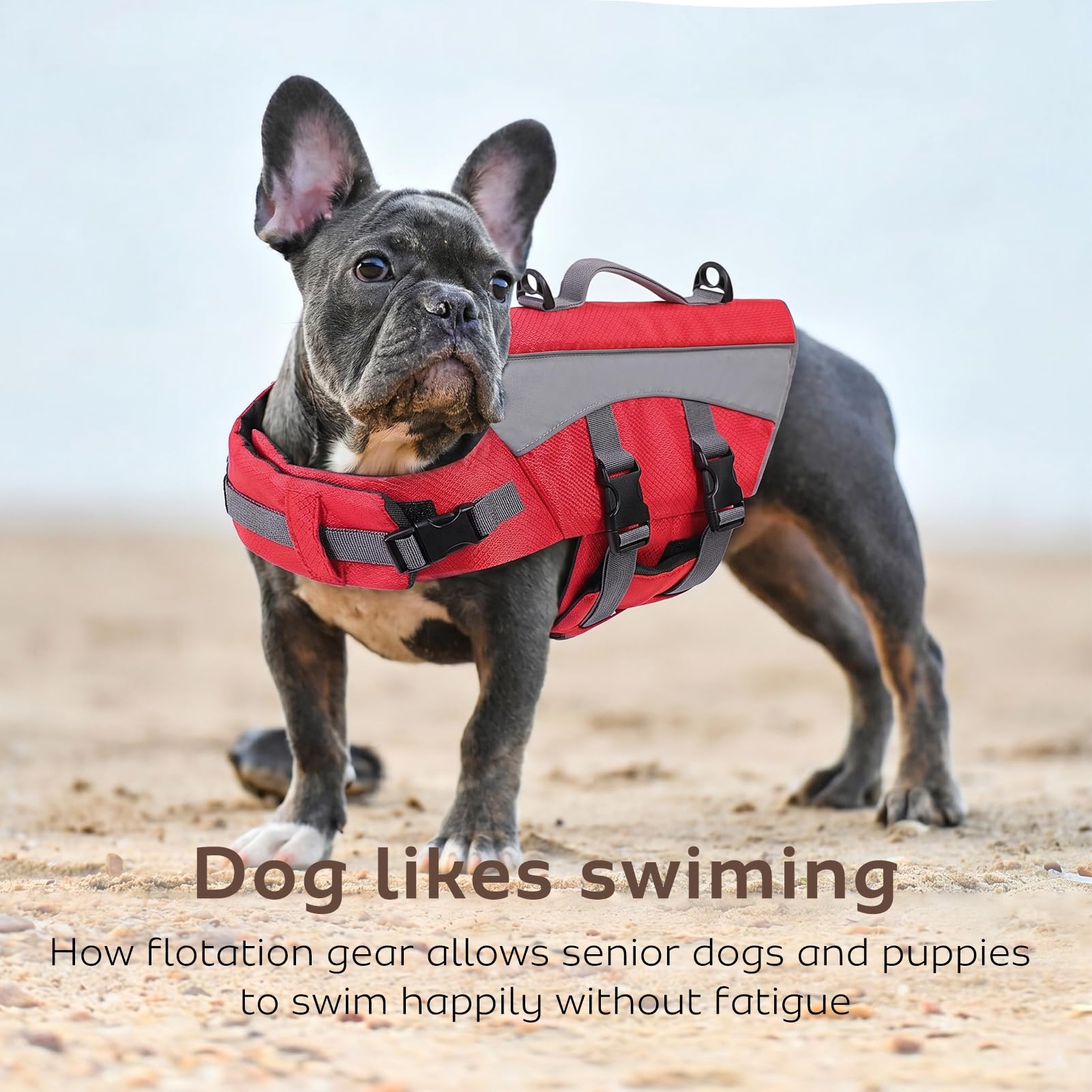 CITÉTOILE Chaleco Salvavidas para Perros - Chaleco Reflectante Flotante con Asa, Flotadores y Correas Ajustables para Seguridad en Agua, Piscina, Rojo, XXL