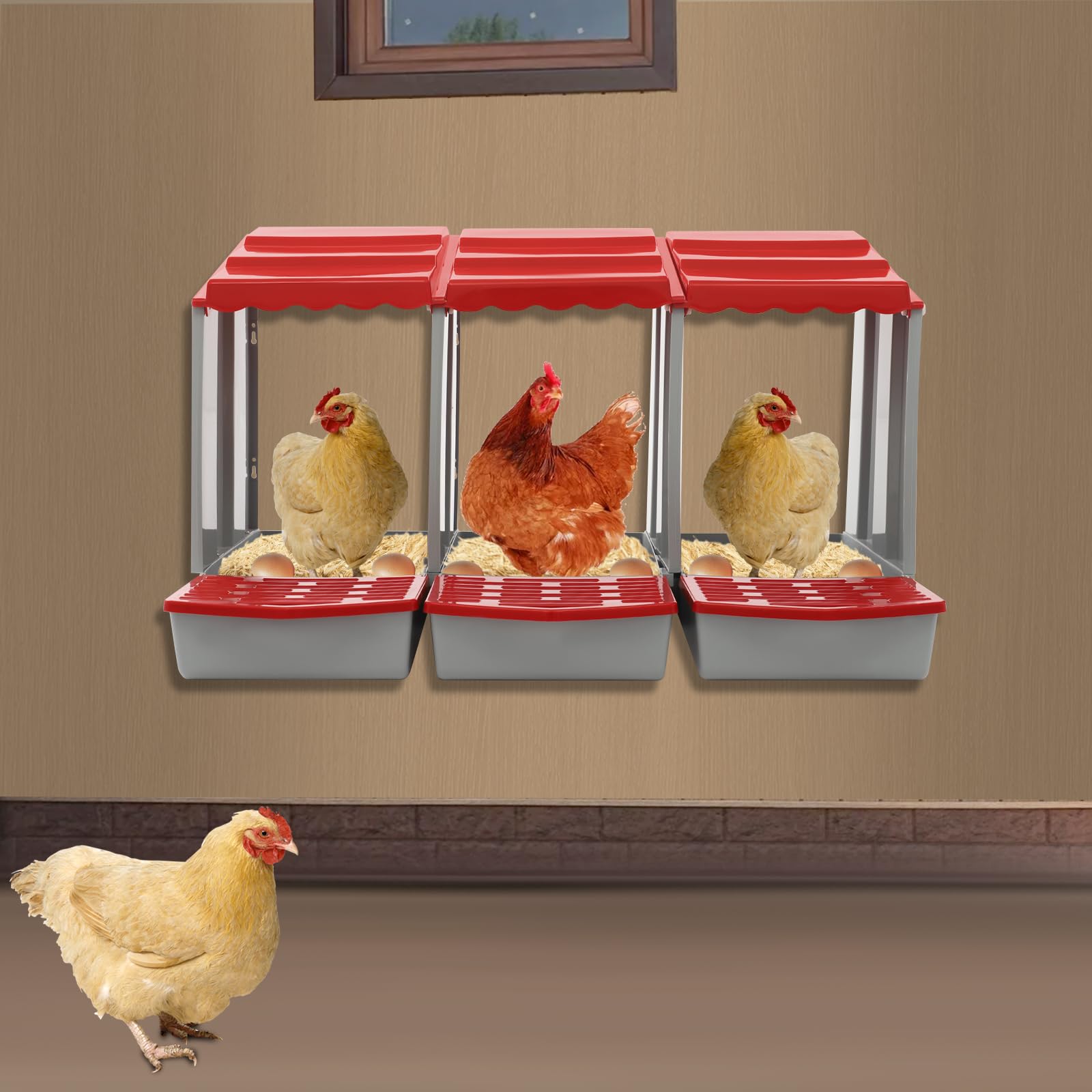 Nido per polli a 3 camere, nido per polli a parete, nido di galline in plastica con fondo inclinato, rosso