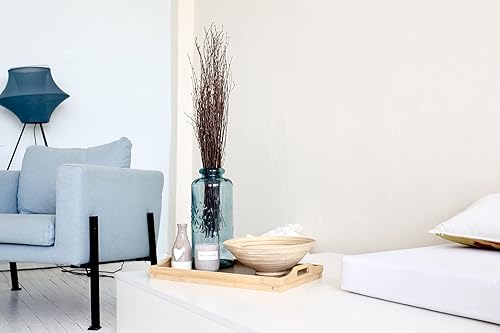 Miniatura 4 de ECOVENIK 25 piezas - Ramas - 28.7 in, ramitas de abedul natural, paquete de 20-25 tallos, largo para jarrones de suelo, (color marrón natural)