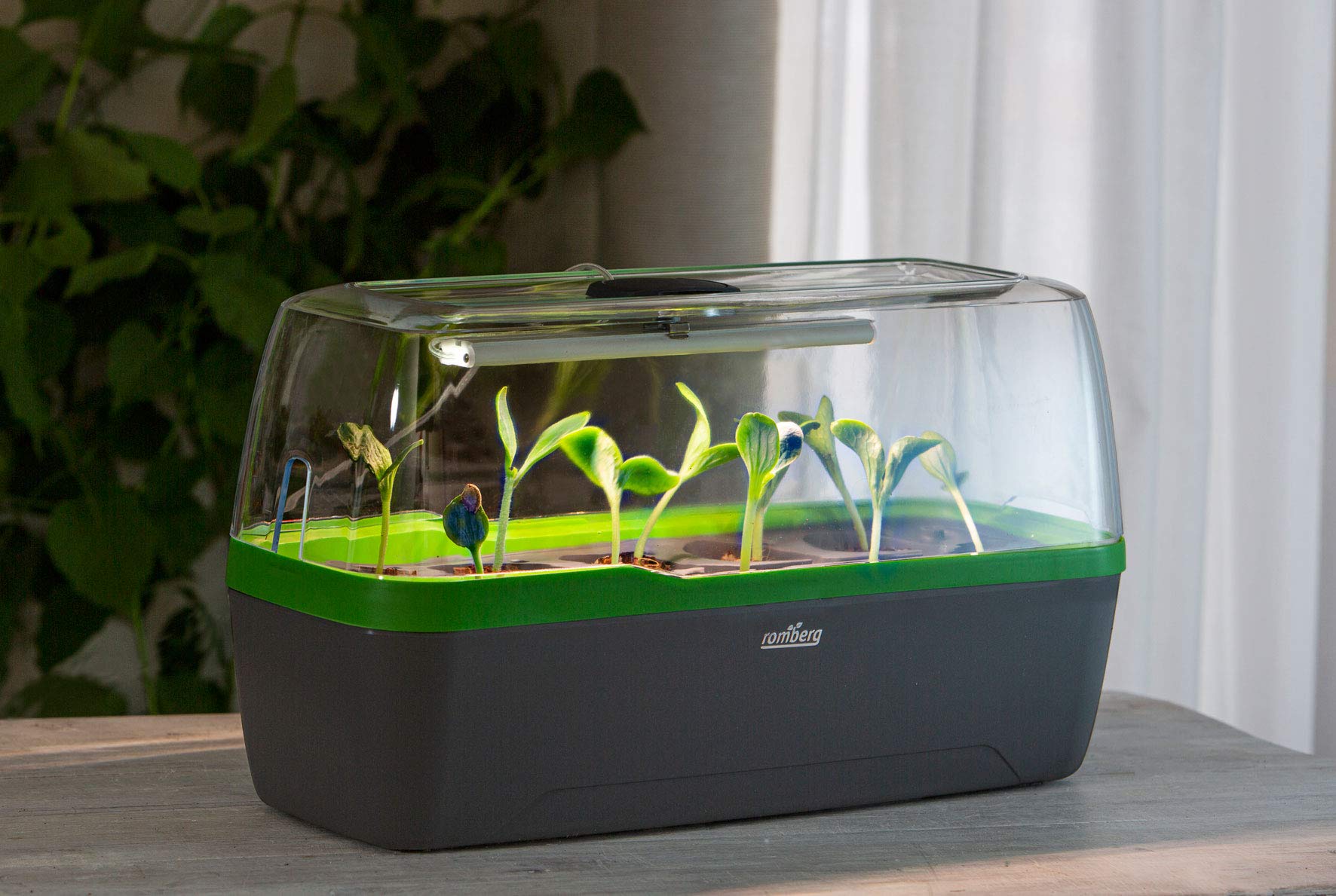 Romberg BoQube L Plus Serra E Fioriera Con LED - Colore Crema, Per 10 Piante, Sistema Di Irrigazione Intelligente
