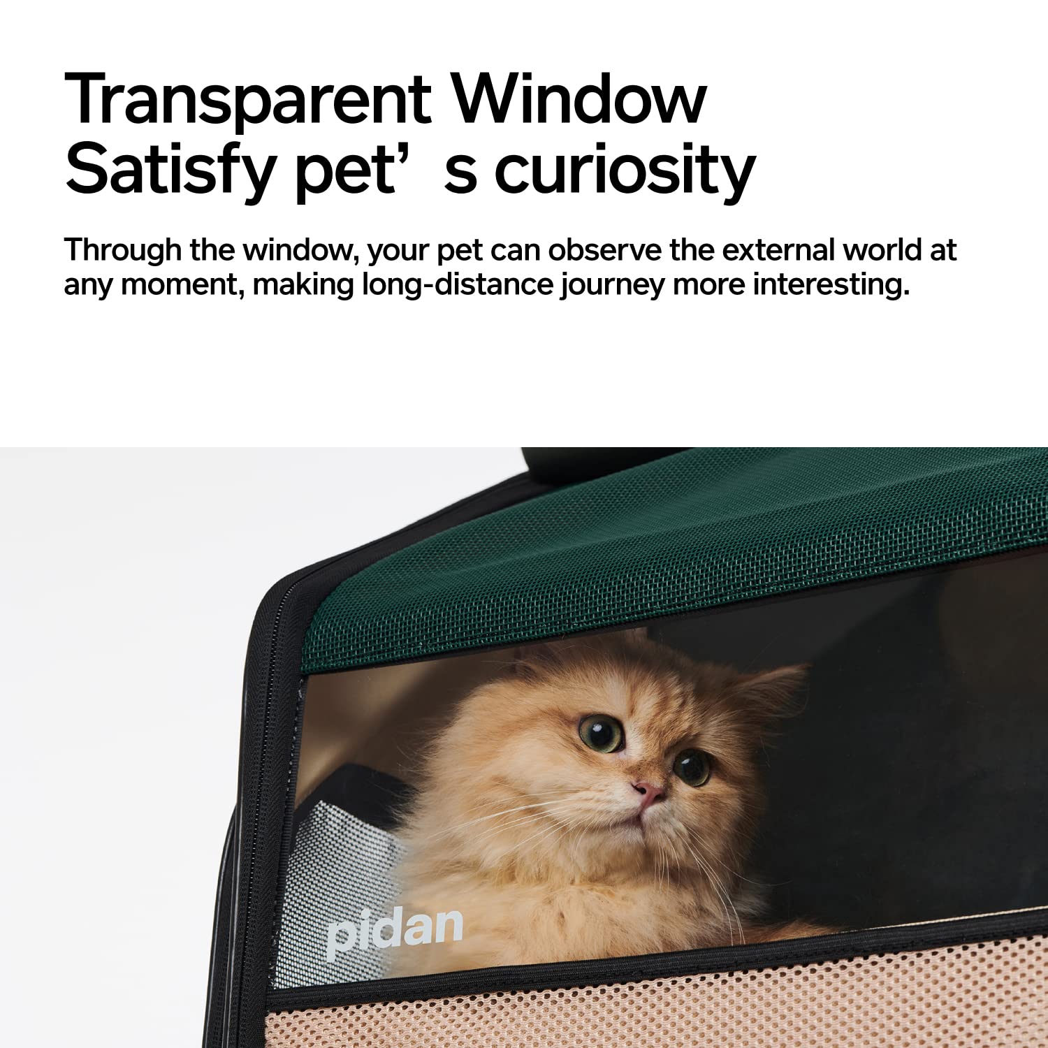 pidan Zaino per gatti espandibile per gatti grande borsa per animali domestici zaino per gatti sacchetti lettiera include 15 "× 15" × 23,5,1 cm montaggio facile e veloce