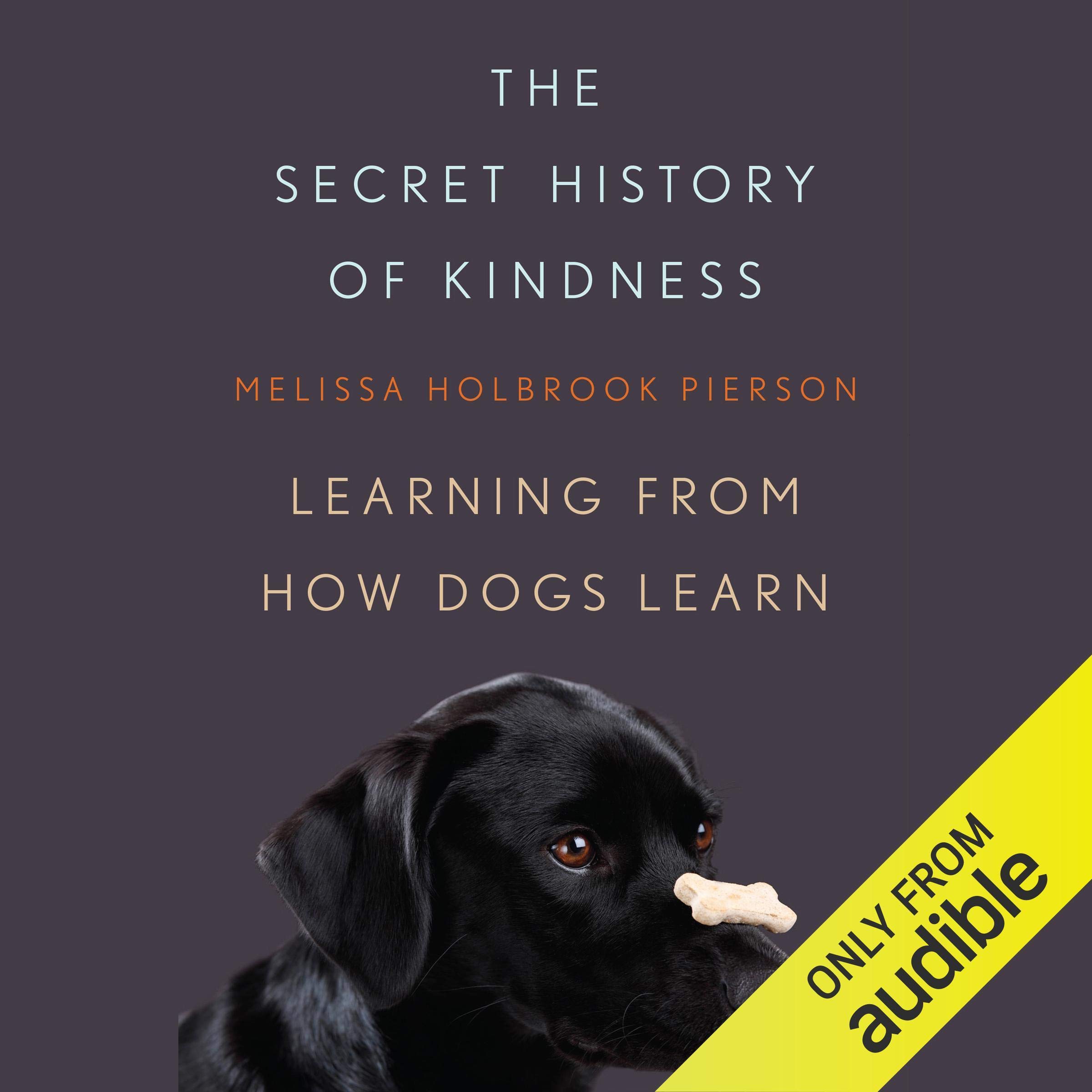 Cover art for The Secret History of Kindness