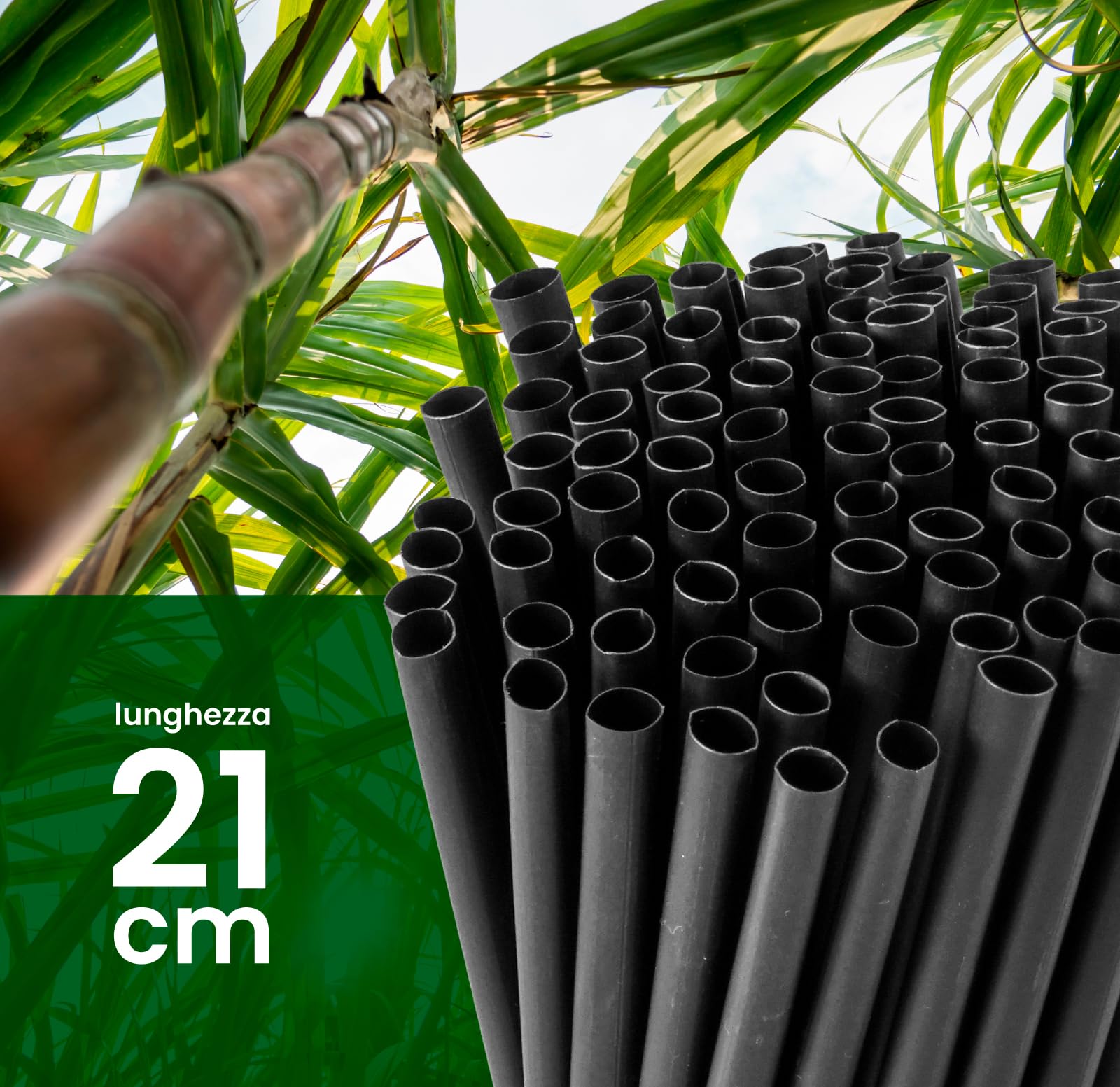 100 Cannucce Rigide e Riutilizzabili 100% Ecologiche e Compostabili - Colore Nero 21cmx6,8mm Lisce e Resistenti - Made in Italy - Eventi Feste Bevande e Cocktail - Baciato Caffè