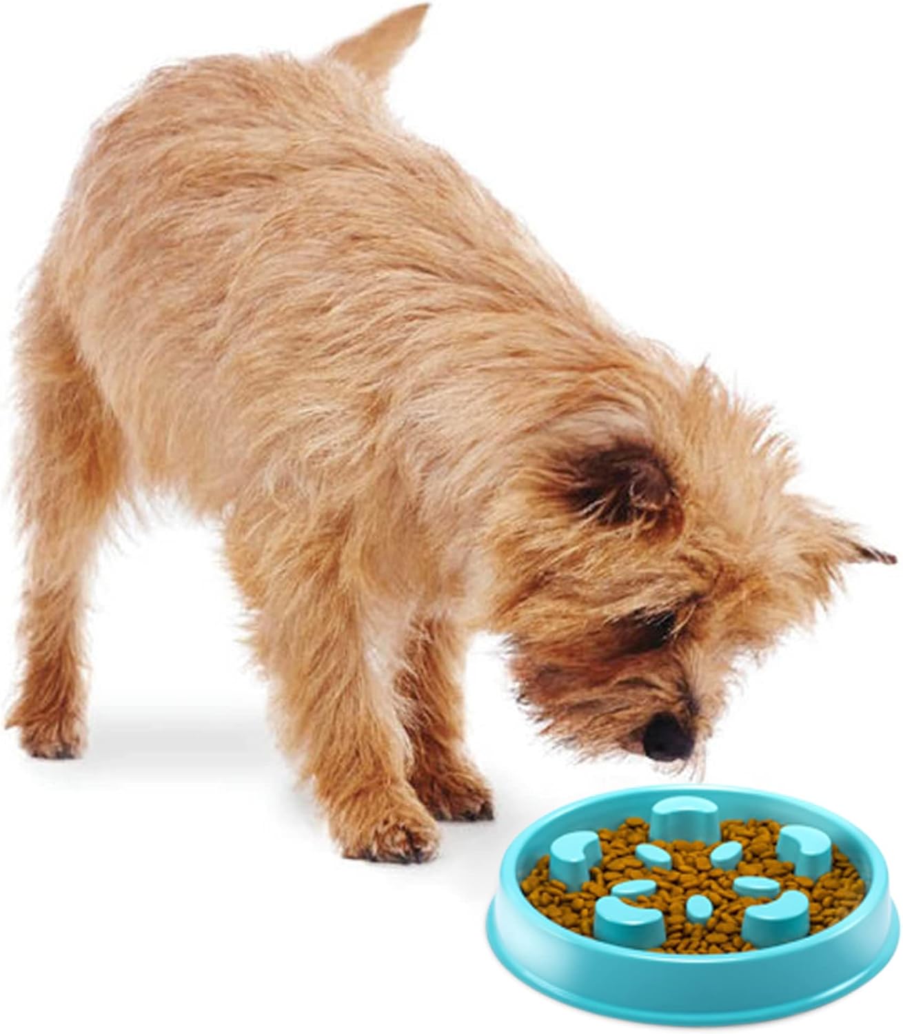 Photo inspiration: Maskota Slow Feeder Bowl Interactive Maze Dog Bowl Pet Puzzle Photo Inspiration