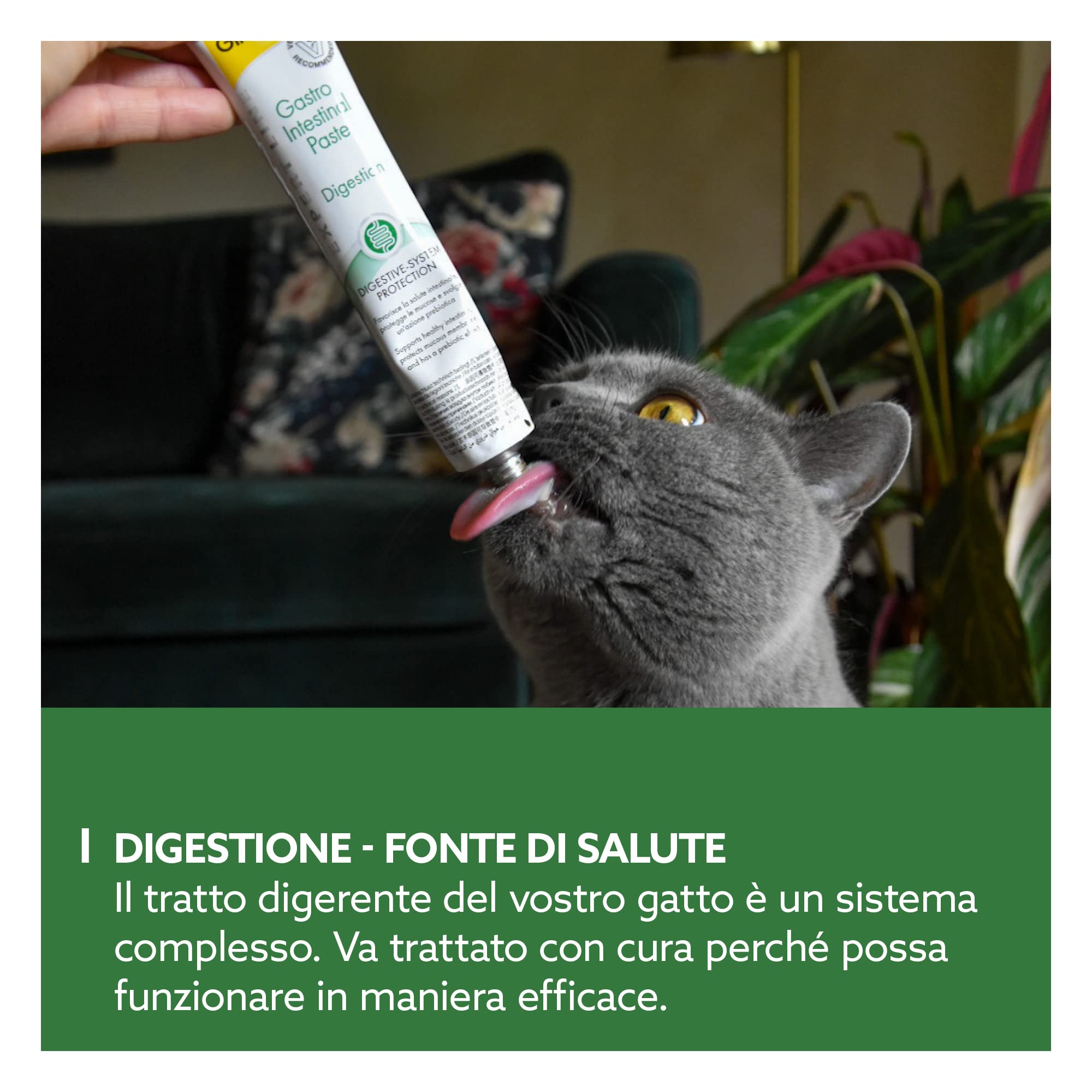 GimCat EXPERT LINE Gastro Intestinal Pasta, Snack per gatti funzionale che favorisce la digestione e l’equilibrio della flora intestinale, 1 tubetto, 1 x 50 g