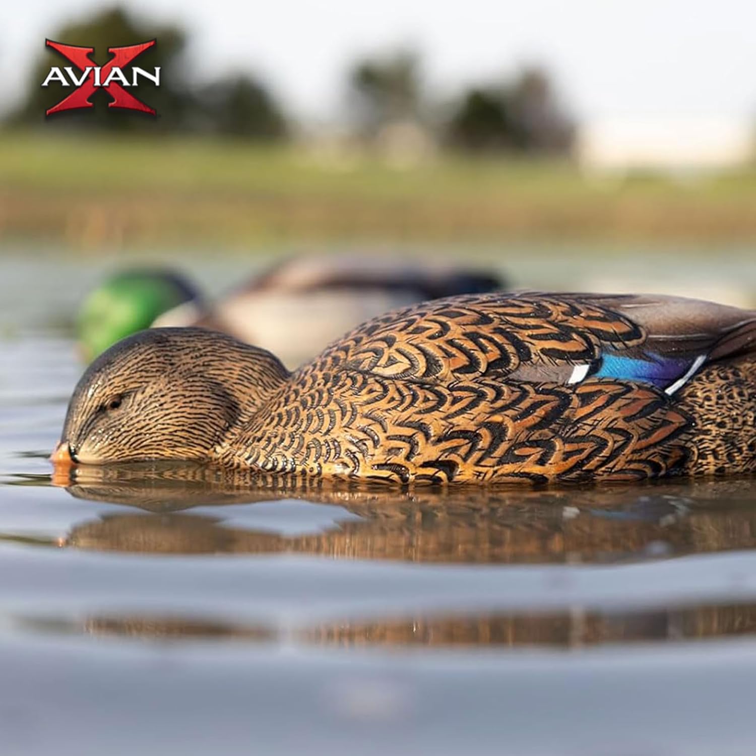 Avian-X Power Shaker Motion Decoy