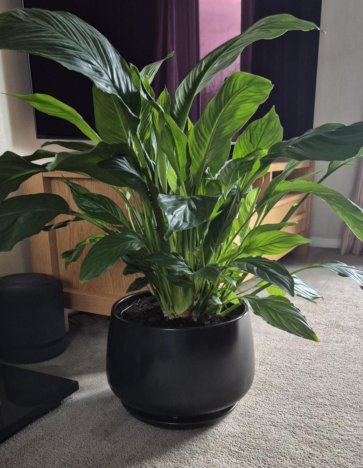 Customer photo