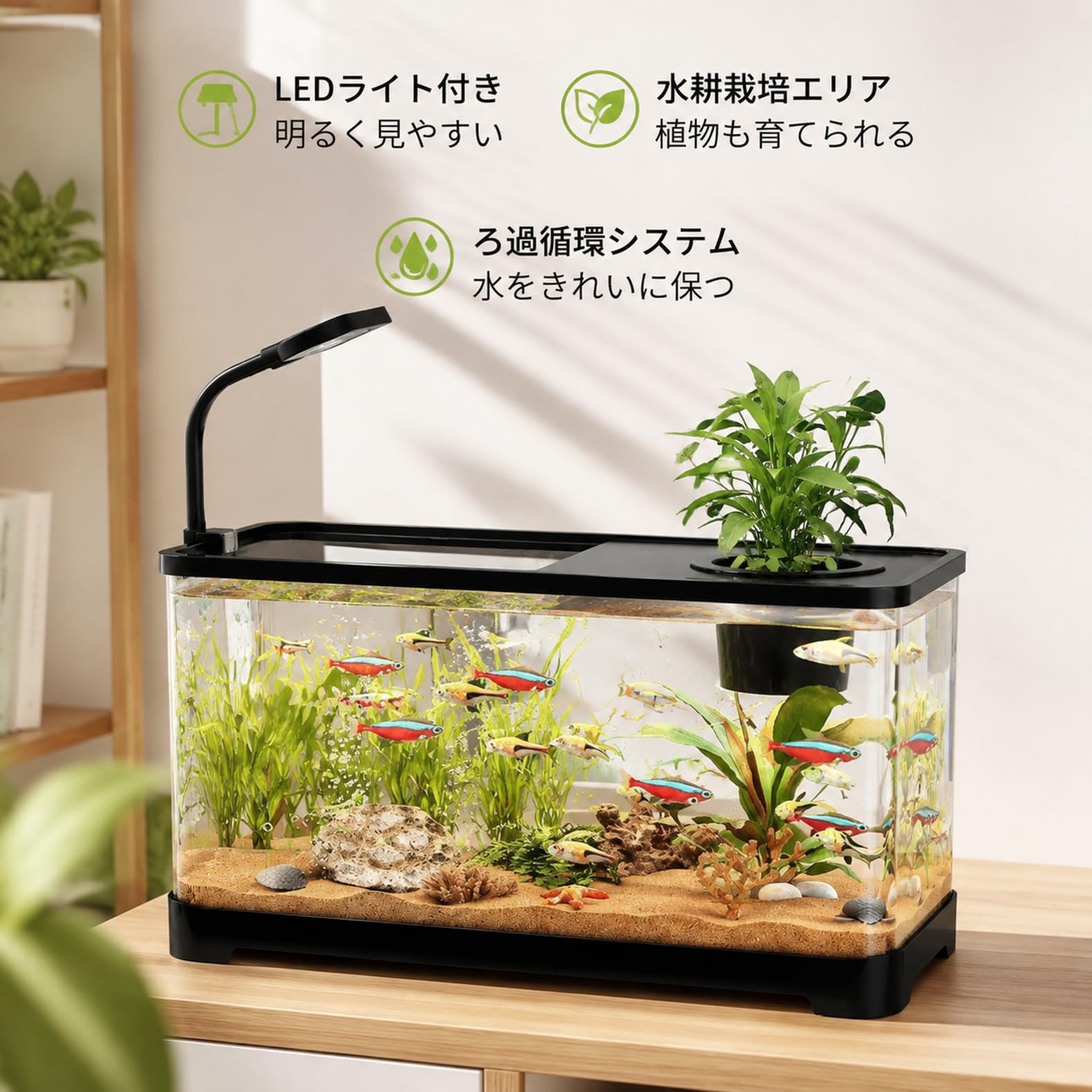 Amazon | 水槽セット 18点セット 一体型 アクアリウム アクリル製