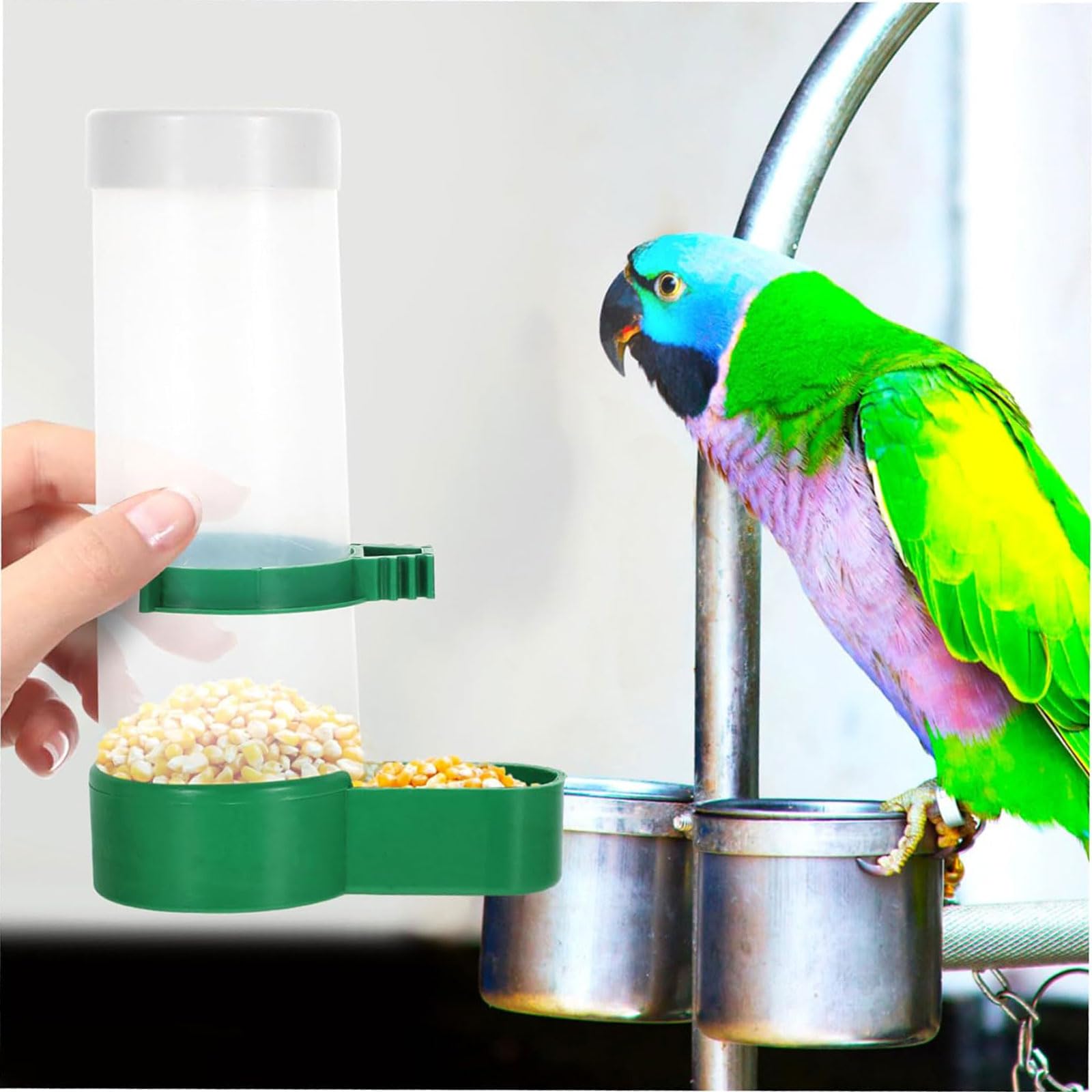 Mangiatoia per Uccelli Automatica da 2 Pezzi Mangiatoie per Uccelli Trasparenti Anti-fuoriuscita Mangiatoie per Uccelli
