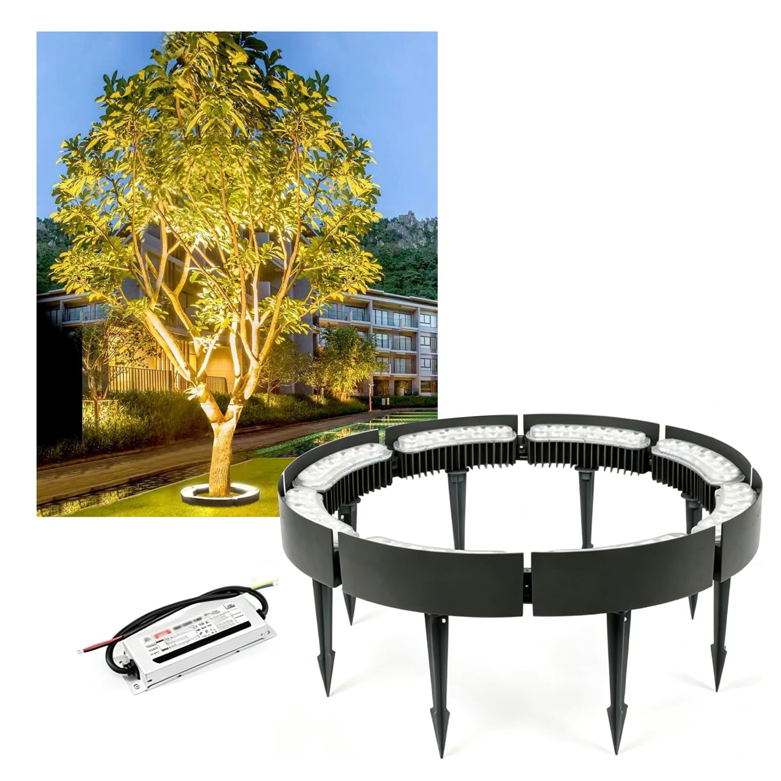 Luces De Árbol De Anillo Para Exteriores Con Transformador, DC24V | Focos De Paisaje Exterior Impermeables, De Bajo Voltaje, Con Estaca, Flexibles, Desmontables(Warm White,8 Packs)