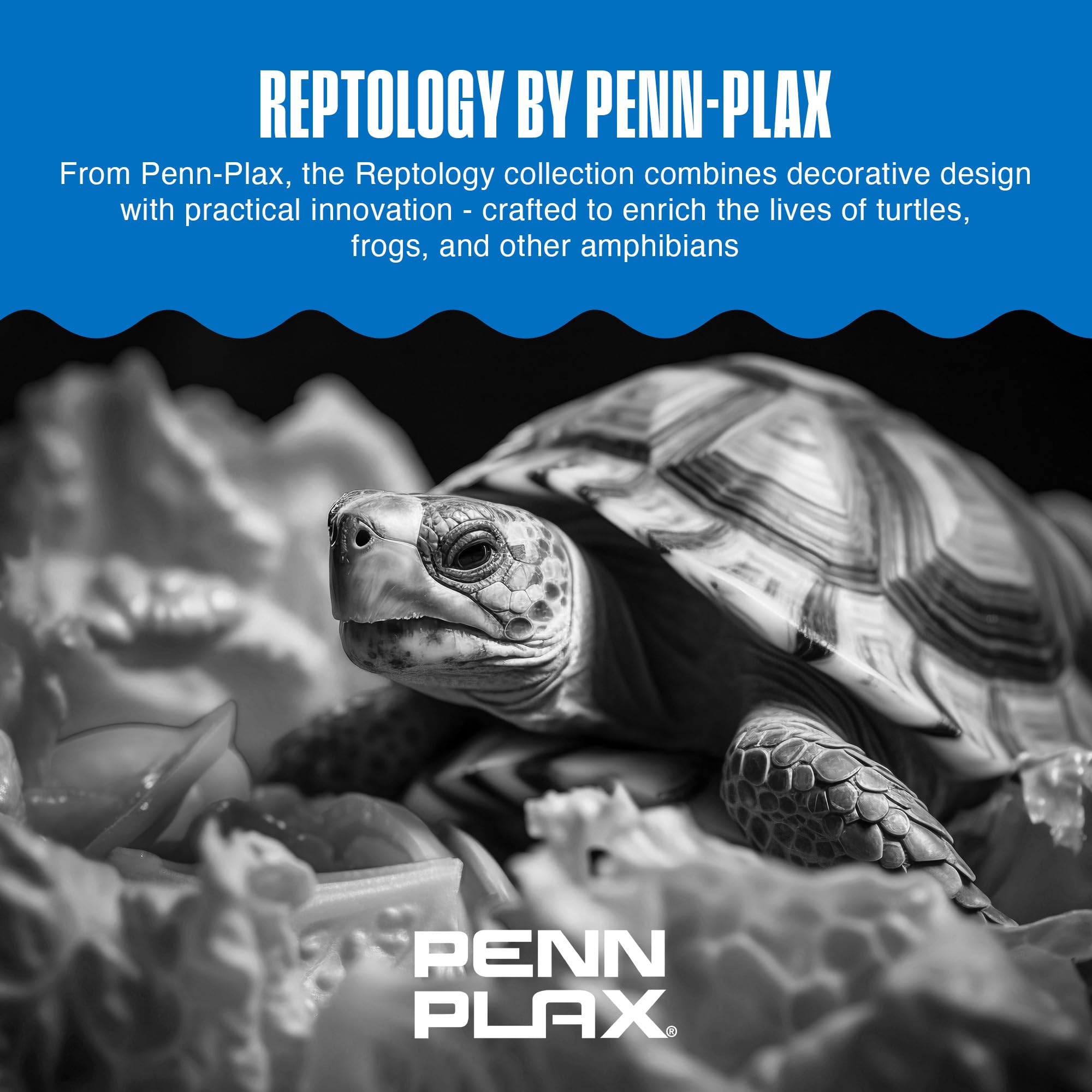 Penn-Plax REP603 - Molo galleggiante per tartarughe, L