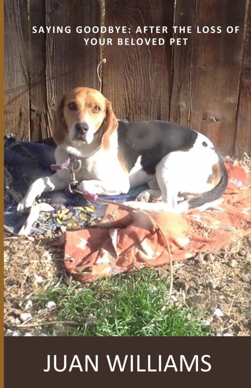 Saying Goodbye: Moving Forward After the Loss of a Pet
