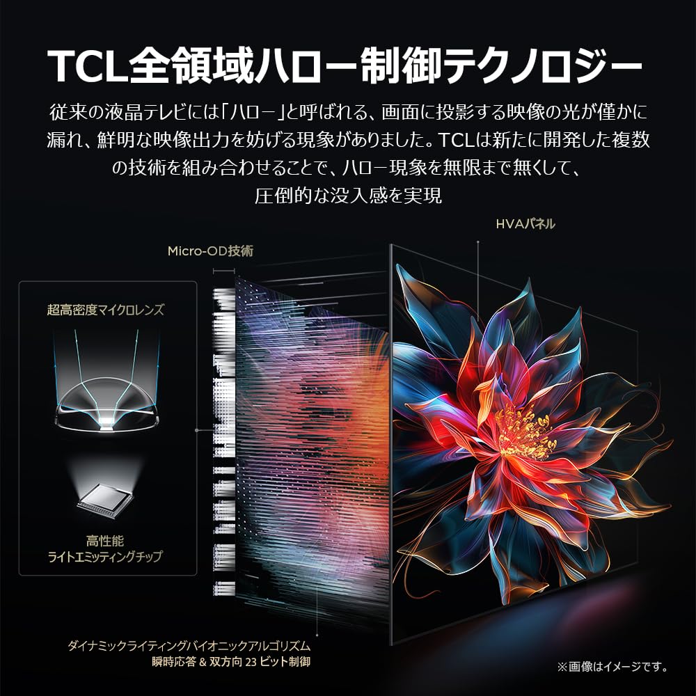 Amazon | TCL 65V型 テレビ 4K 量子ドット MiniLED 倍速 65C8K WHVA