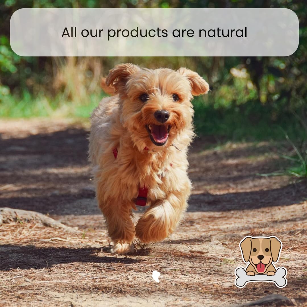 Pawsome Snax Ostrich Metatarsus Bone Dog Treats - Natural Long-Lasting Chews for Aggressive Chewers - Image 2