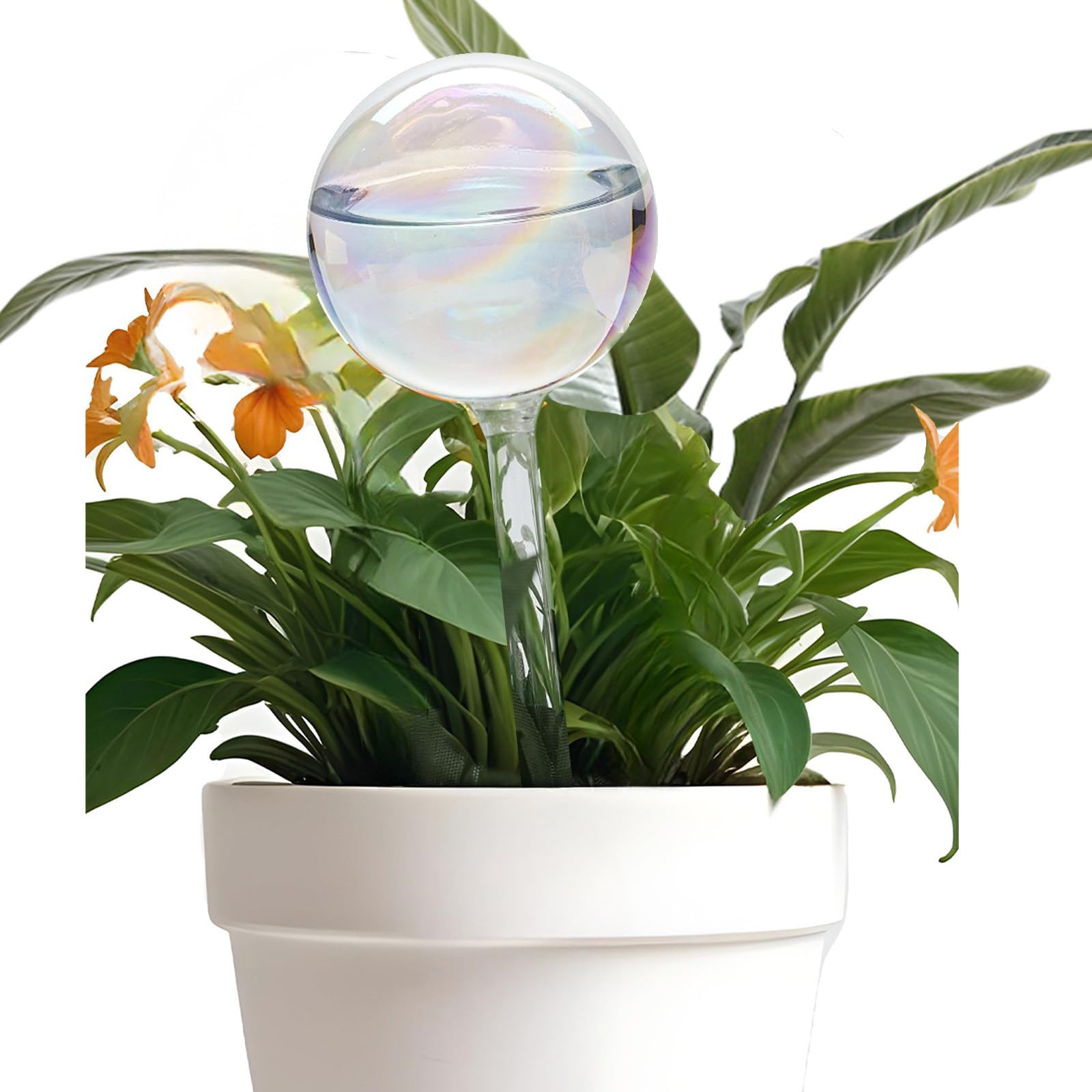 Jaffiust 1 Pcs Clear Plant Watering Globes, 10.4'' Plastic Self-Watering Bulbs,Flower Automatic Watering Device,Garden Waterer for Plant Indoor Outdoor