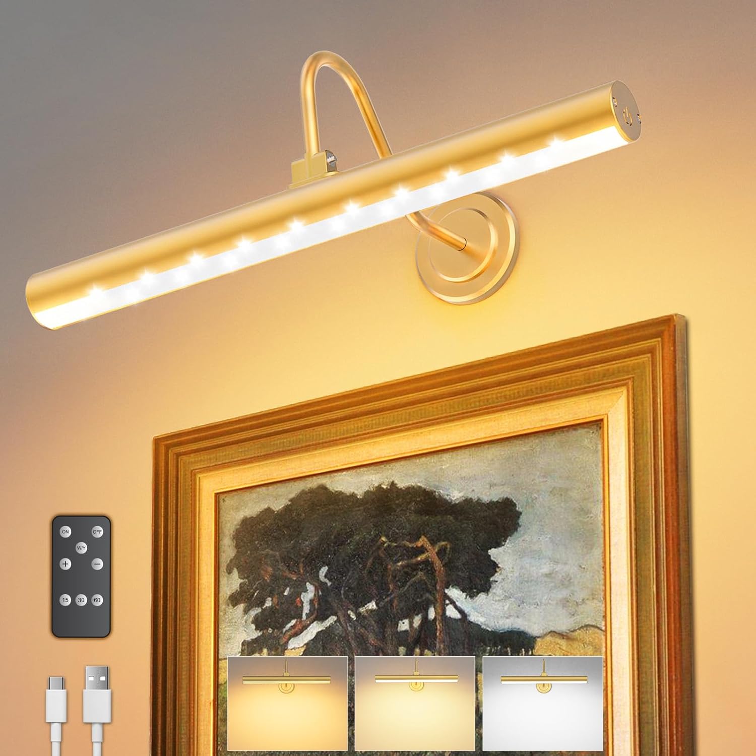 Bridika Picture Light Battery Operated, Wireless Picture Light with