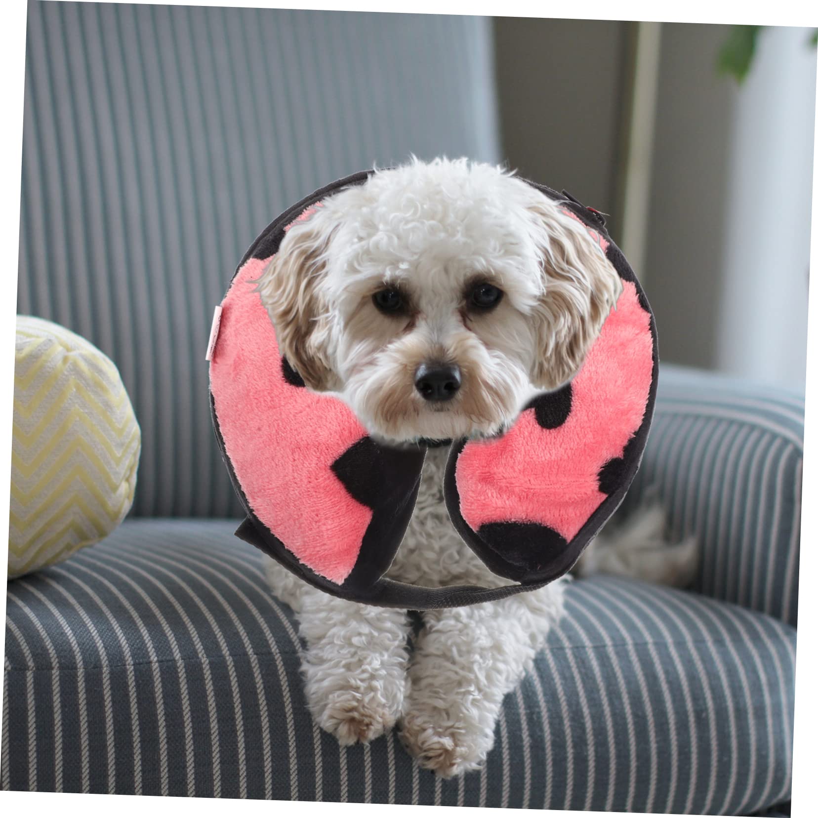 FOMIYES 4piezas Collar De Inflable para Gatos y Collar Protector para y De Usar para Lesiones y Cirugías Previene Arañazos y Molestias