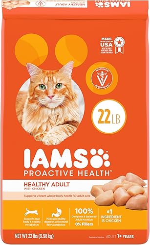 Iams Proactive Health - Recetas de pollo y salmón para gatos secos para adultos