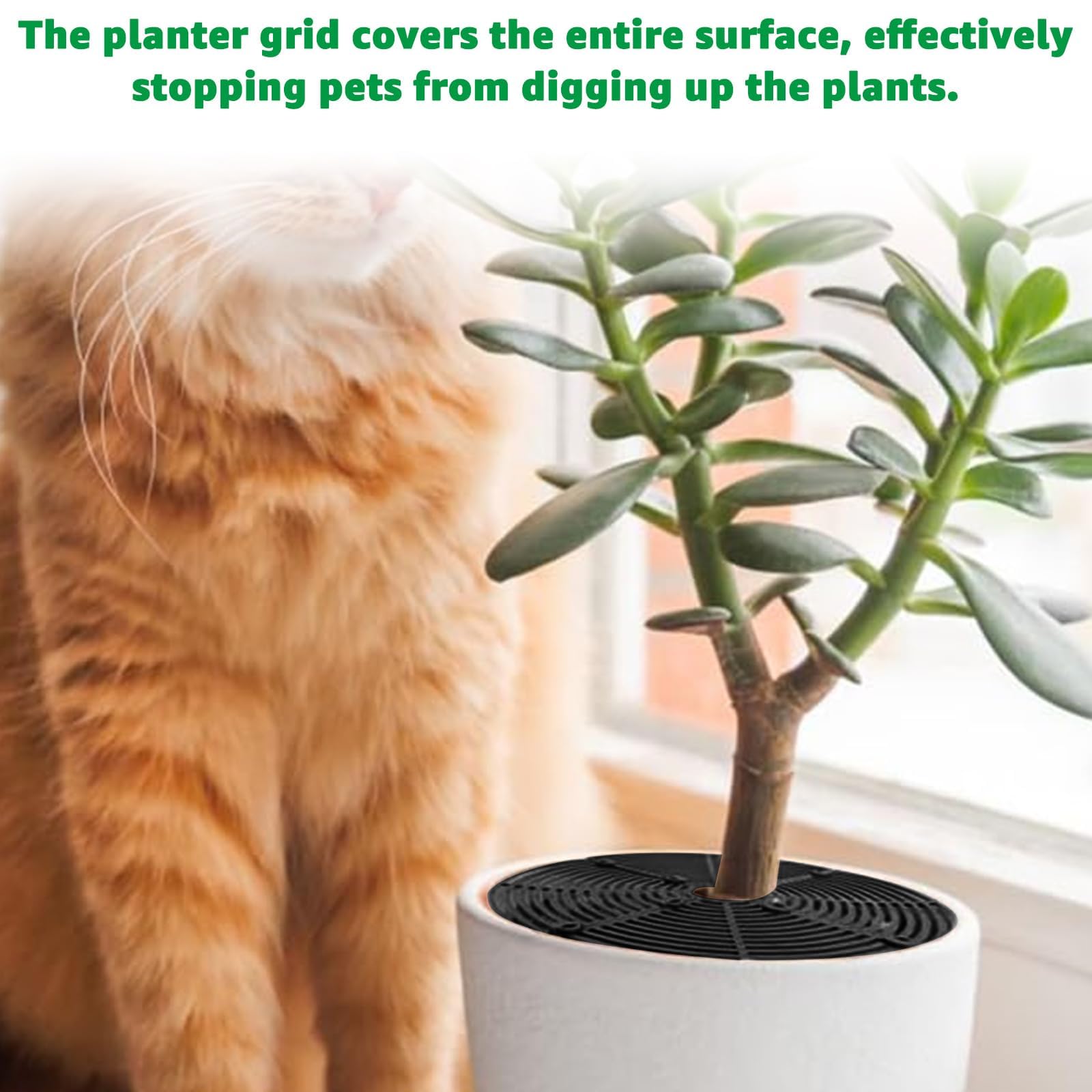 Lot de 5 Grille pour Pot de Fleurs - 30cm + 52cm - Couvercle de Protection des Plantes - Anti-Chat et Sécurité Enfant - Noir