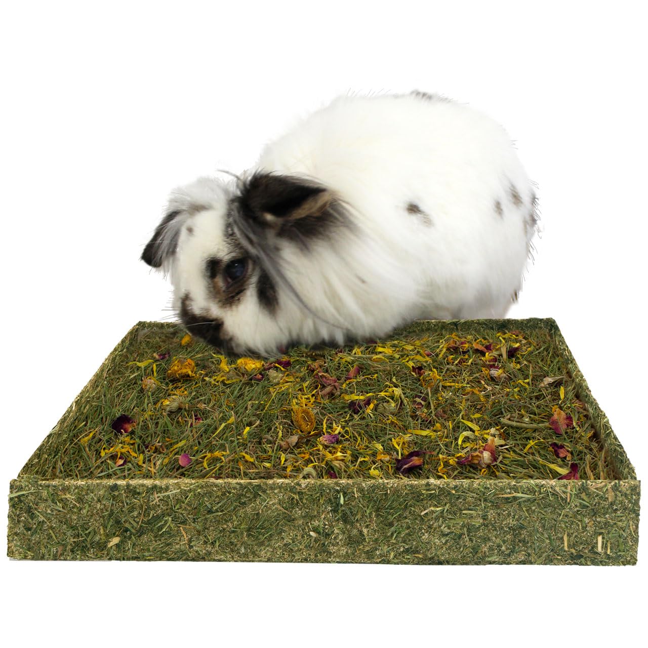 JR FARM ESN łąka ziołowa z kwiatami 750 g, 1 sztuka (1 opakowanie)