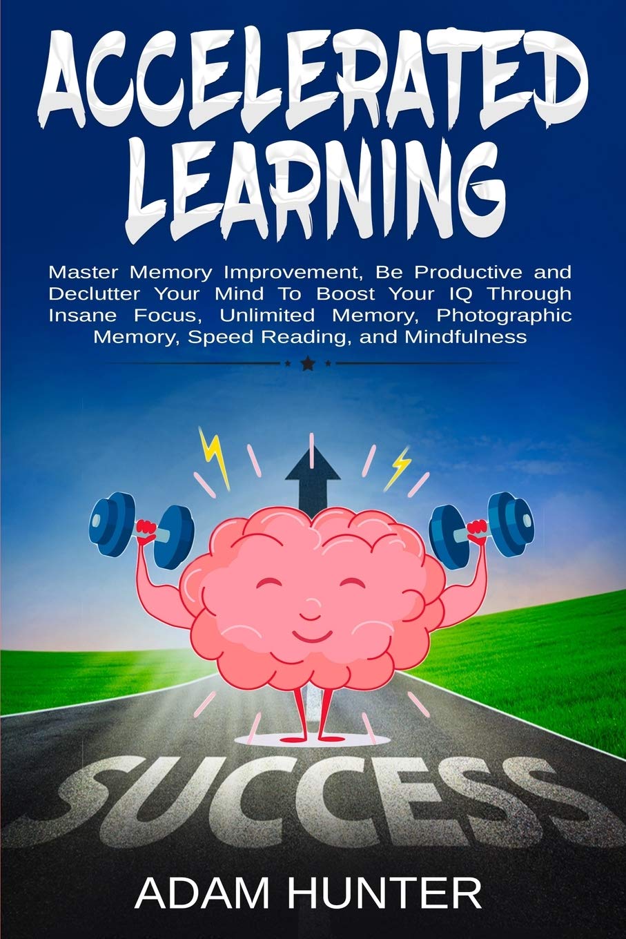 Accelerated Learning: Master Memory Improvement, Be Productive and Declutter Your Mind To Boost Your IQ Through Insane Focus, Unlimited Memory, Photographic Memory, Speed Reading, and Mindfulness