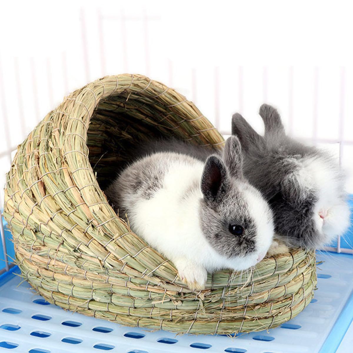 GLEAVI Maison pour Hamster en Paille Tressée, Cachette Portable, Vert