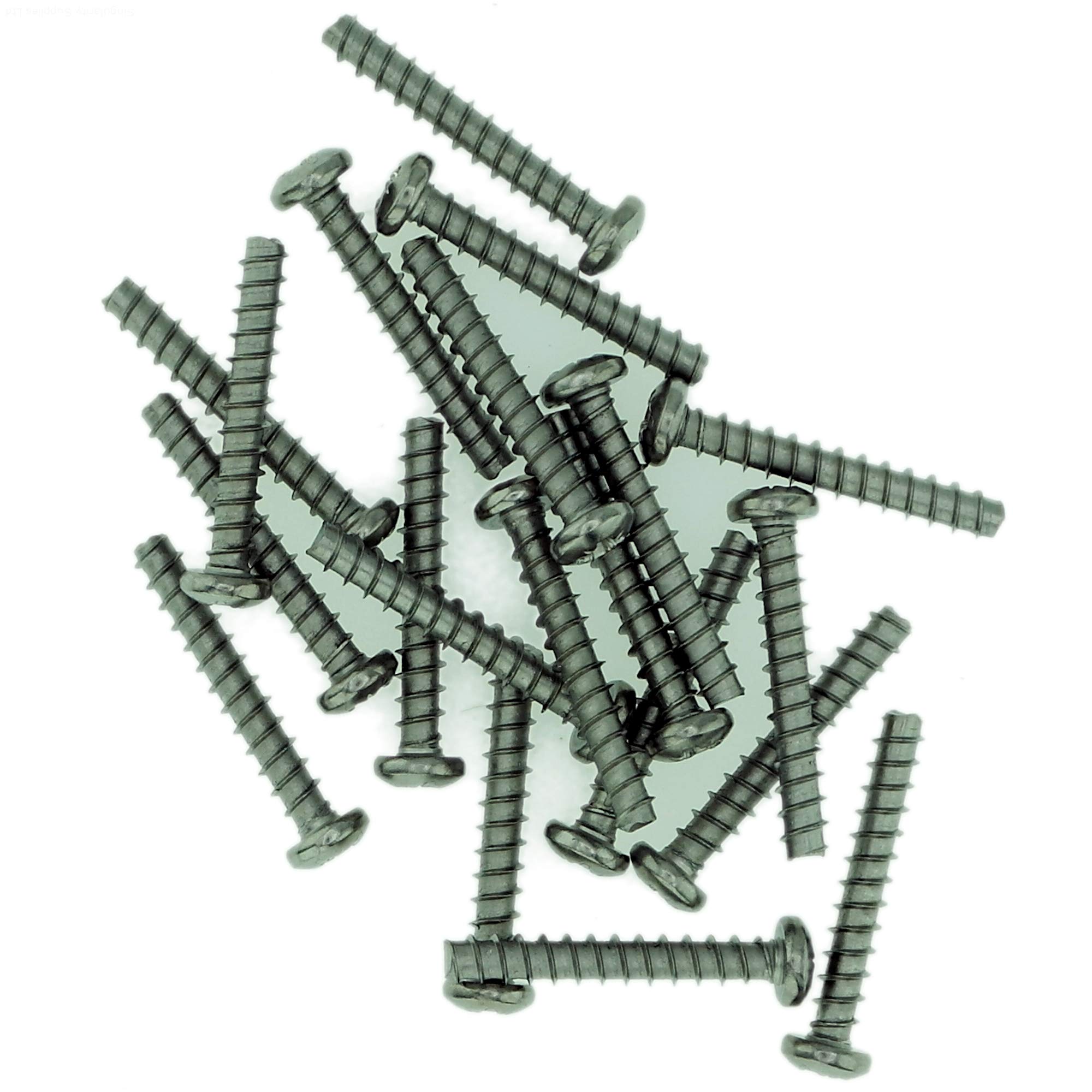 Singularity Supplies D4 (4Mm X 16Mm) Pozi Pan Screws For Plastic (Trilobular) - Stainless Steel (A2) (Pack Of 20)