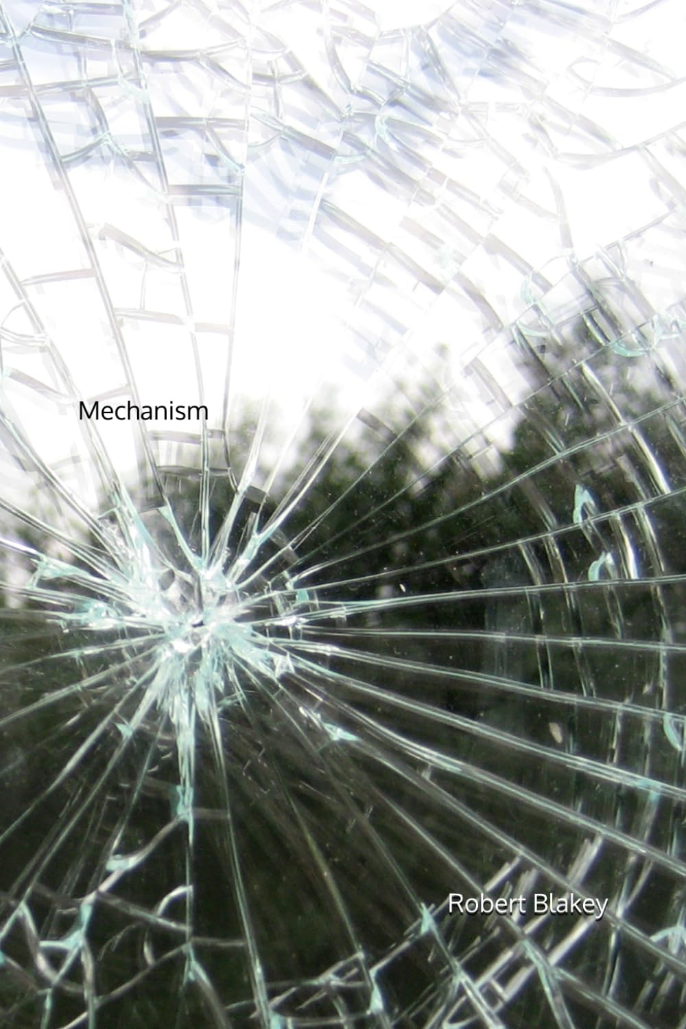 Mechanism: Part 1 (The Mechanism of A Pandemic Crossing)