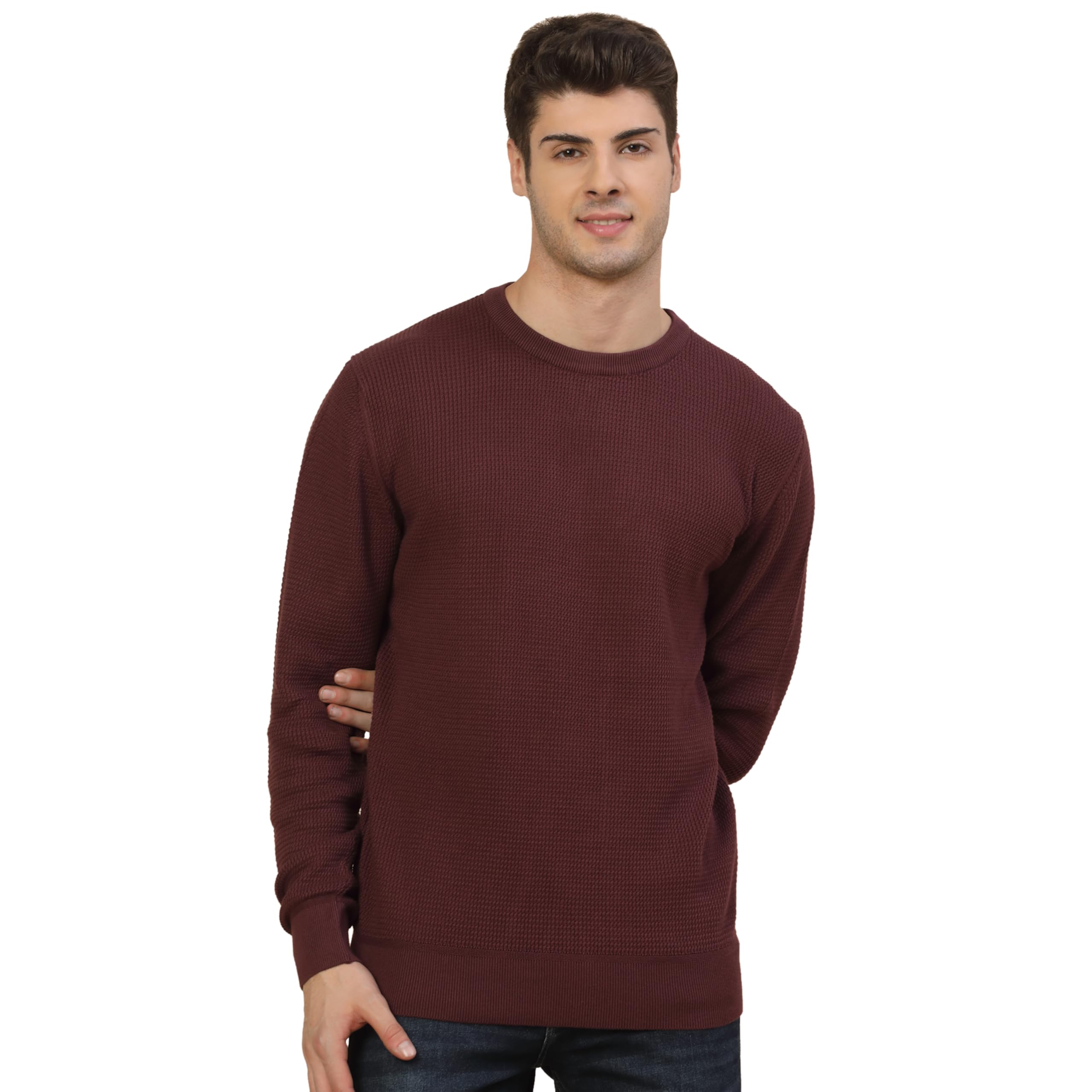cantabil Sweater for Men Mauve-picture-19