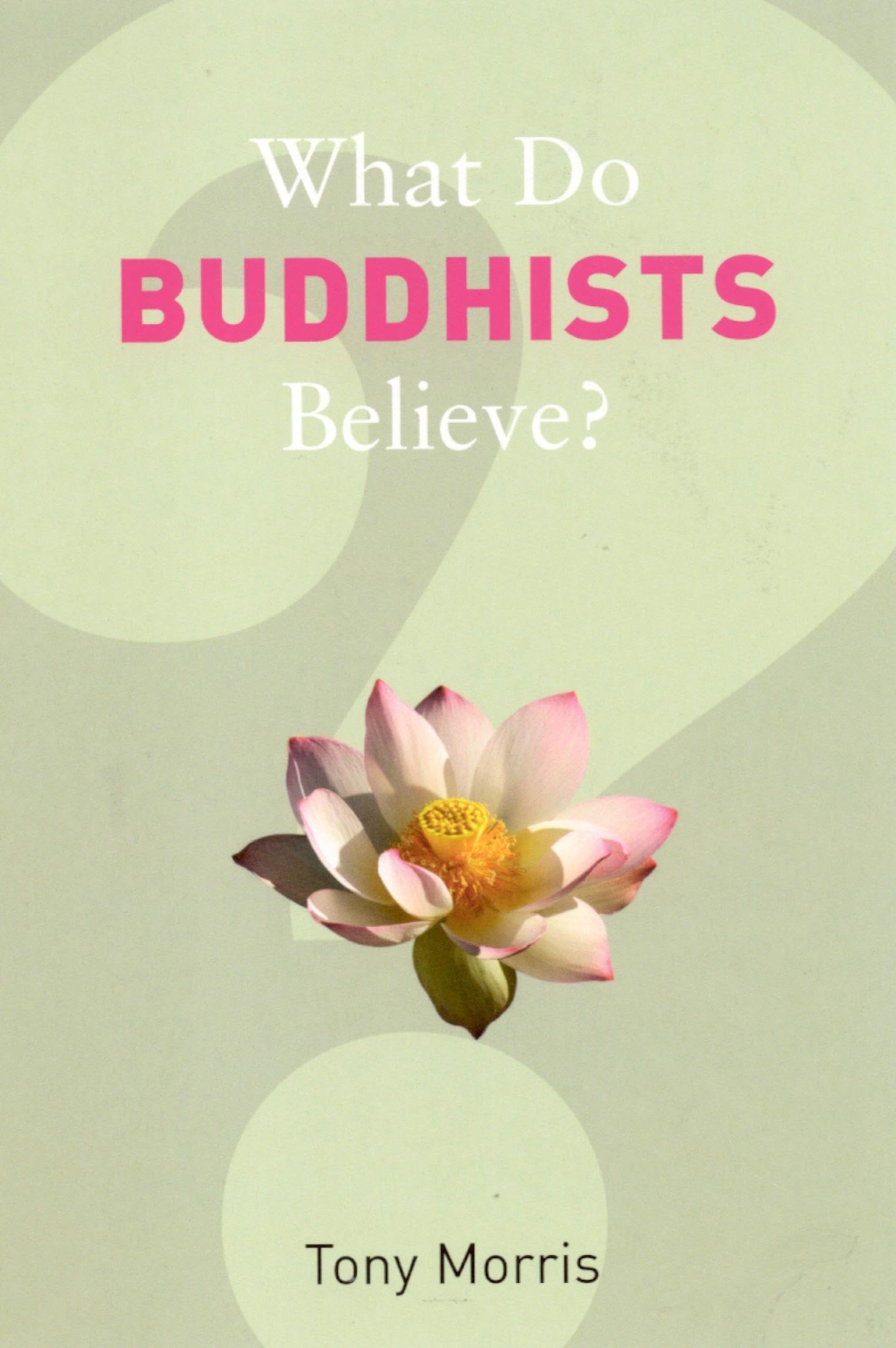 What Do Buddhists Believe? (What Do We Believe) By Tony Morris