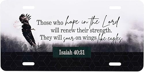 Dicksons LP-1033 Renew Their Strength Marco decorativo de aluminio para placa de matrícula de 12 x 6 pulgadas