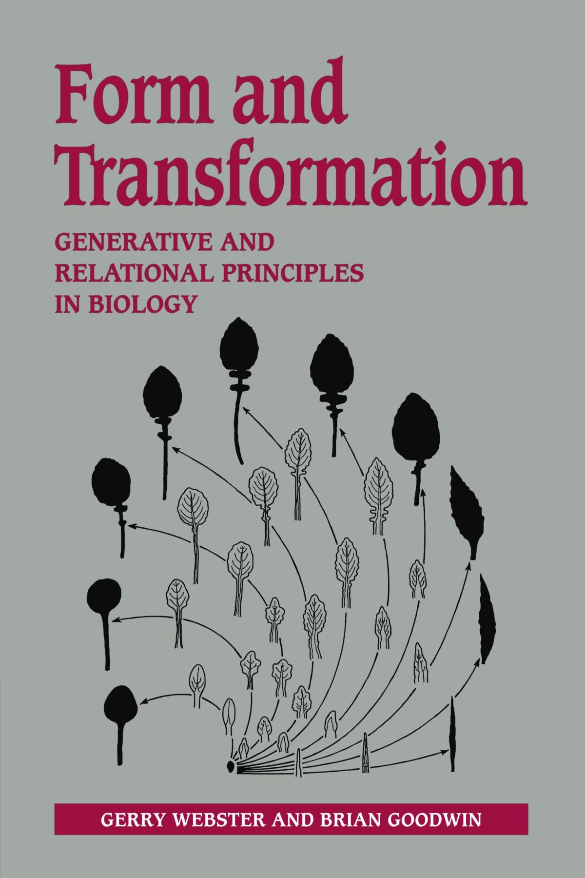 Buy Form and Transformation: Generative and Relational Principles in Biology — BookShops.in