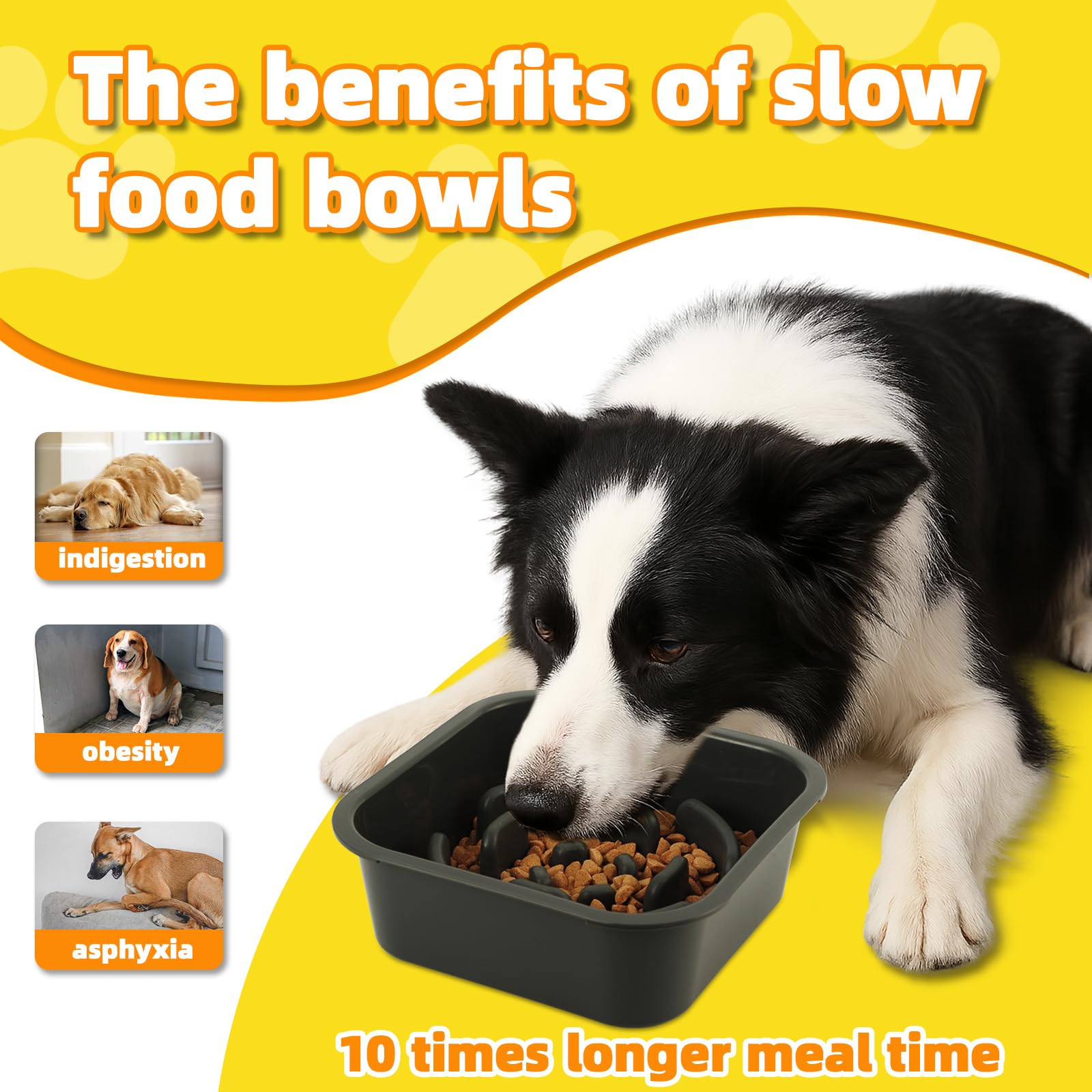 Ciotole per cani Rialzate Regolabili - Acciaio Inossidabile 1400ml + Antingozzo 1100ml + Viaggio + Tappetino - Base antiscivolo per cani di taglia media/grande