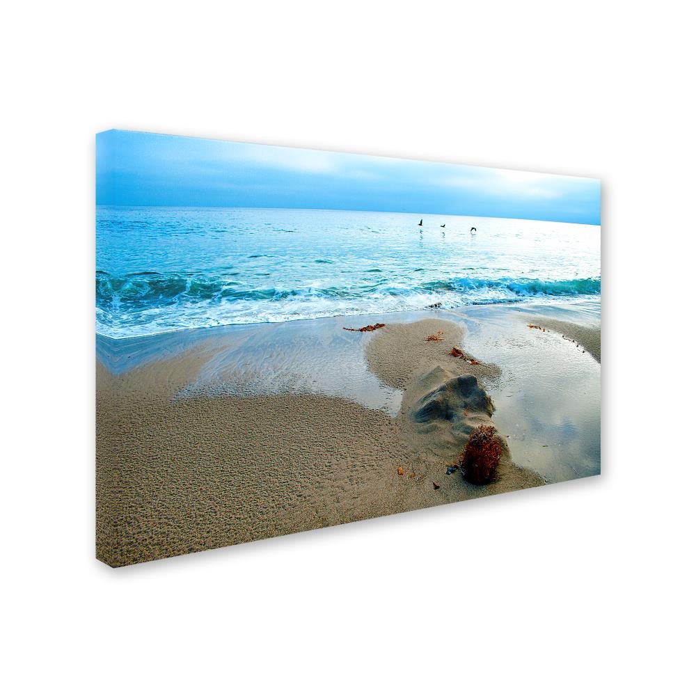 砂浜の絵 (アメリカで購入) バリ絵画 海の絵 本物のサンゴの立体的な砂浜 フレームなし 波の