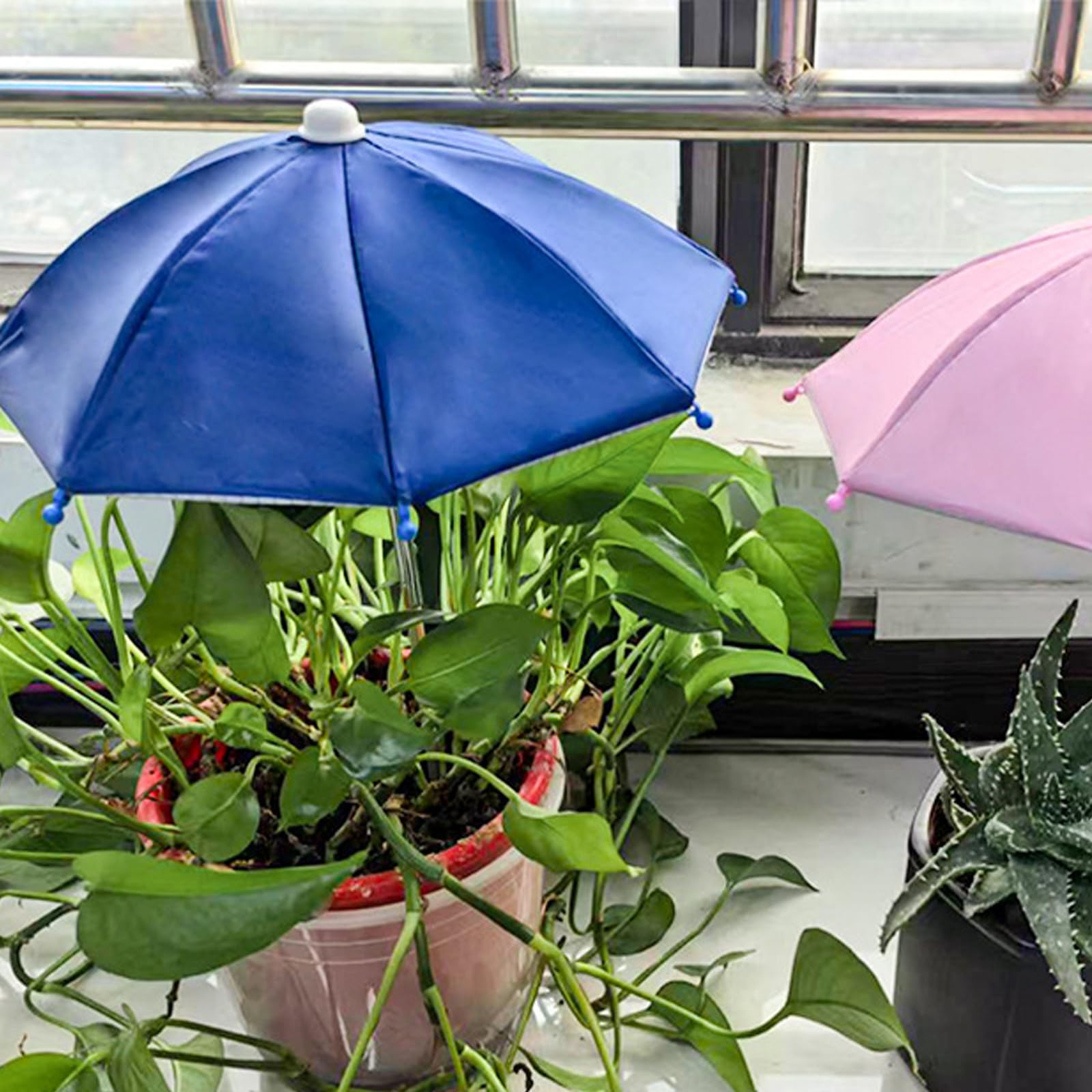 Amazon.co.jp: 園芸植物防雨傘日よけ鉢植えの花や多肉植物の装飾用傘
