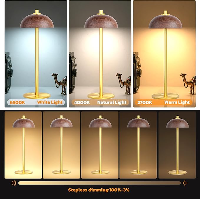 JONEMO Rechargeable Cordless Table Lamp - 5000mAh Battery Powered Lamp, 3 Color Modes Stepless Dimming LED Table Light with Memory Function for Indoor, Outdoor, Dinner, Patio, Cafe.(Wood Grain) photo 2