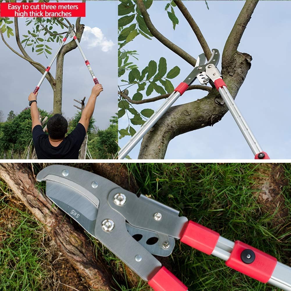 Telescopic Anvil Garden Tree Loppers Pruning Scissors High Branches Shearing Fruit Thick Branches Shears Garden Tools