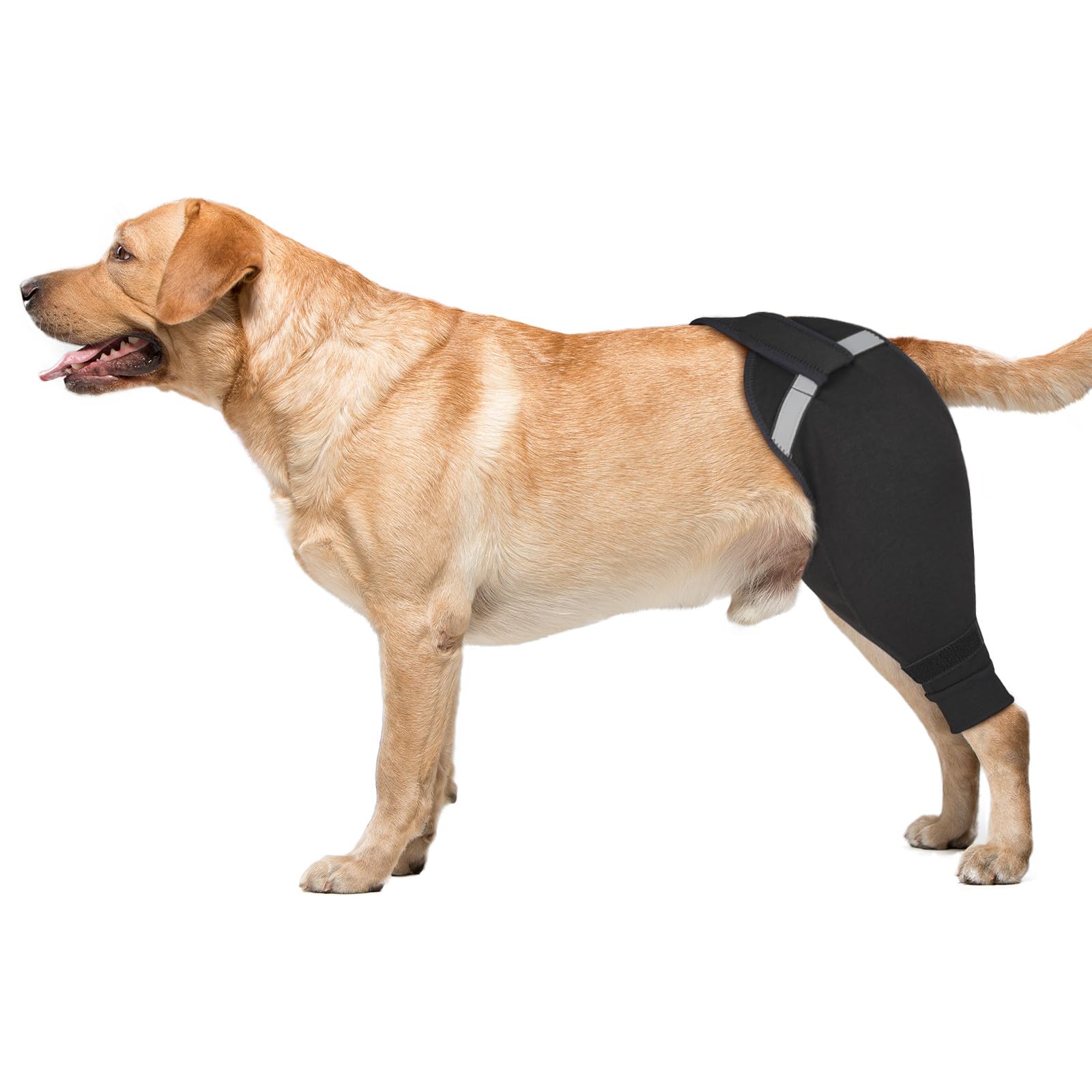 Photo 1 of Dog Rear Leg Sleeve to Stop Licking, Upgraded Hind Leg Cover to Stop Slipping, for TPLO Surgery, Skin Conditions, Wounds, Breathable Soft Fabric, Dog Cone Alternative, Right,L,Black