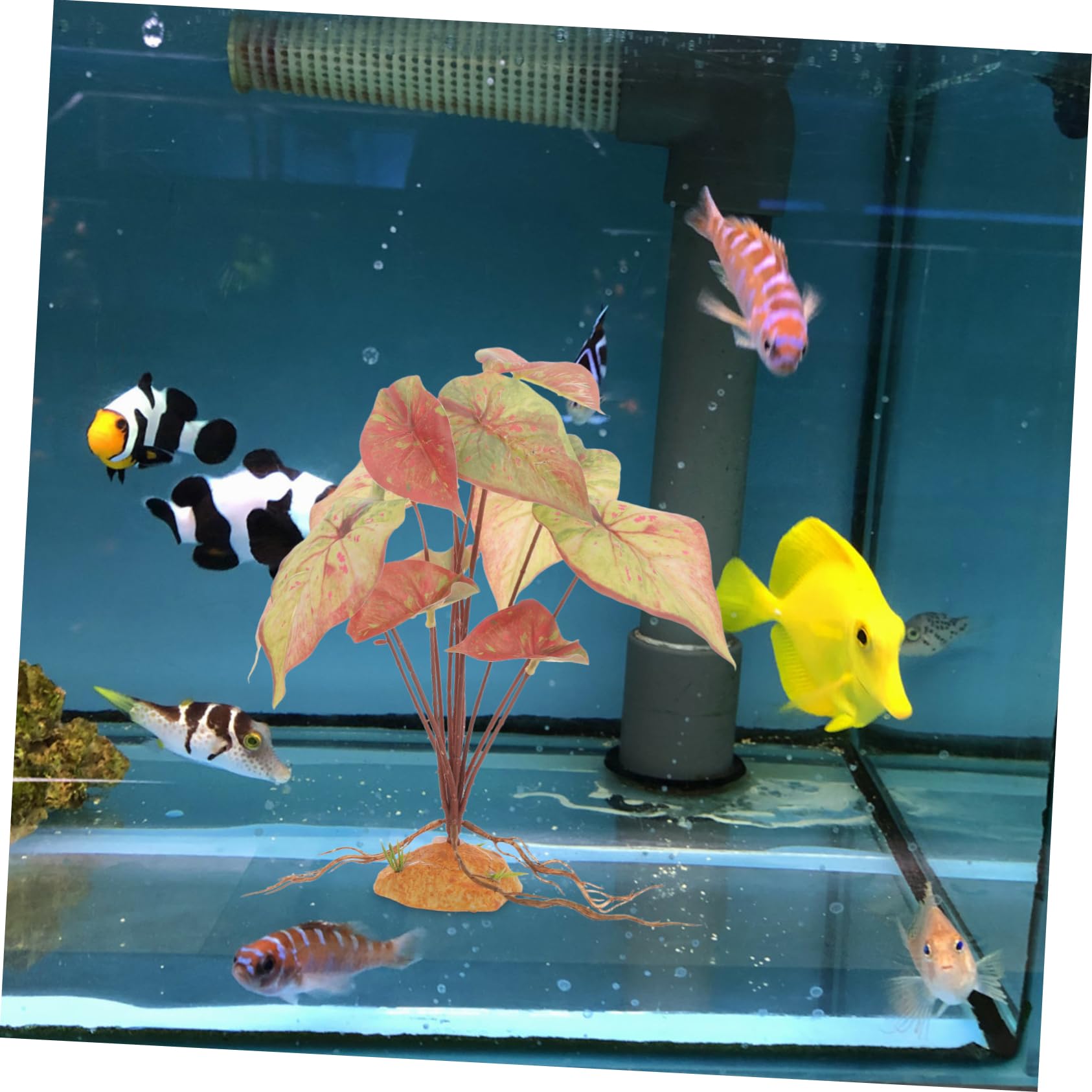 Toddmomy 3pezzi Artificiali Per Acquari Decorazioni Realistiche Per e Rettili Per Terrari e Acquatici Lunghe e Resistenti Sbiadimento
