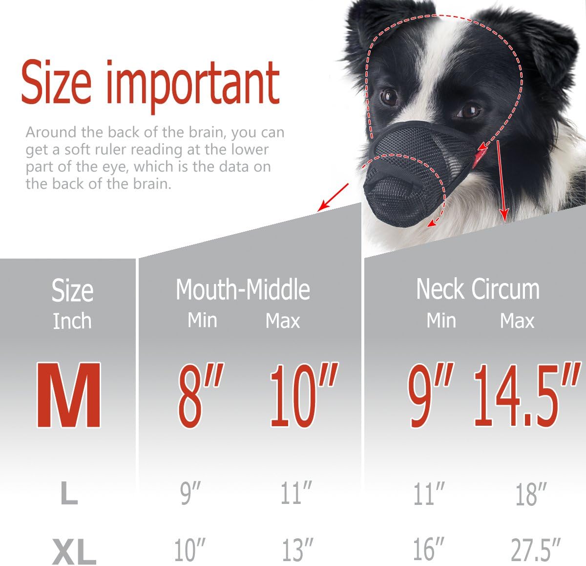 muzzle to stop licking