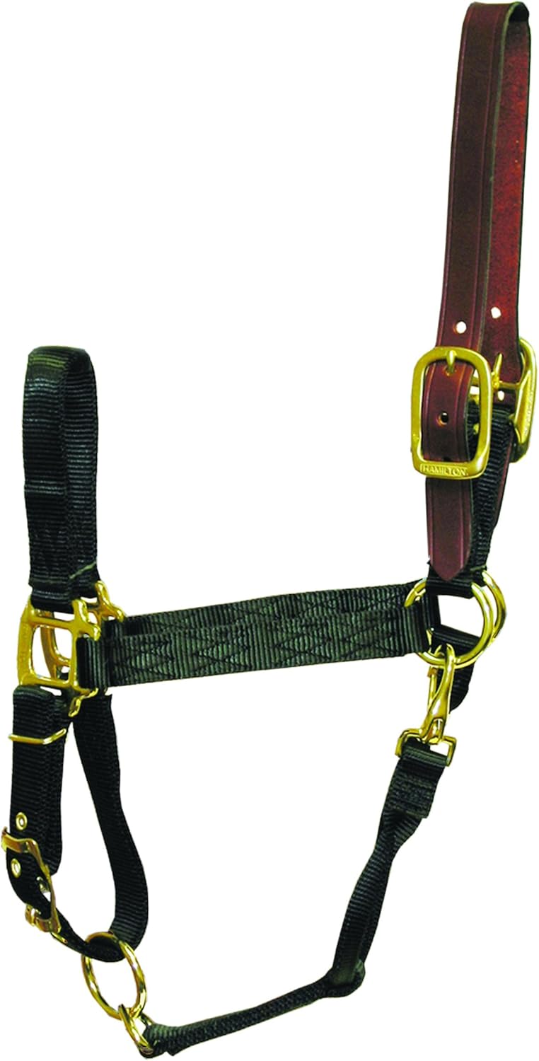 Hamilton 1-Inch Nylon Adjustable Horse Halter with Leather Head Poll and Throat Snap, Large, Black