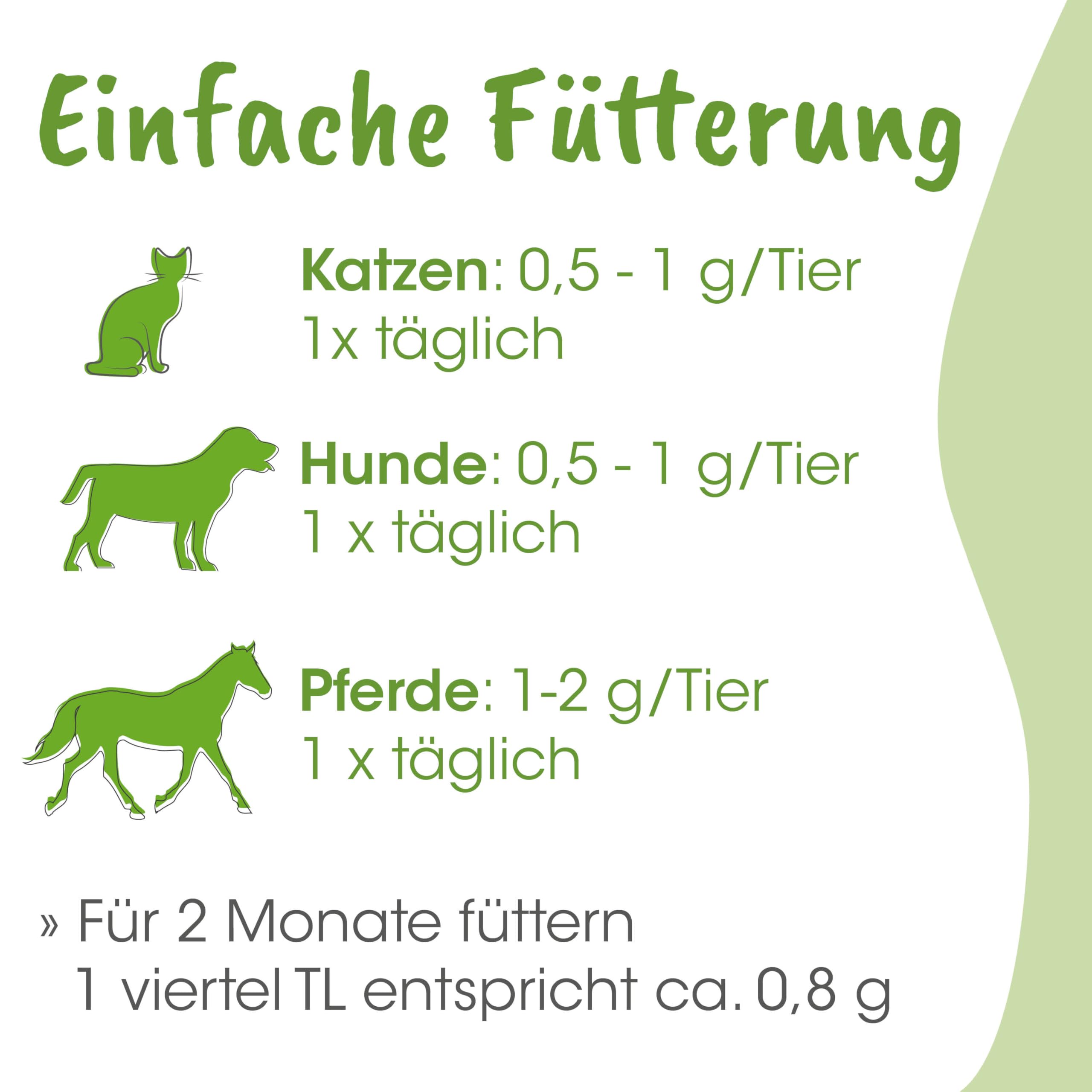 cdVet Natural Products ArthroGreen Jointfit 70 g – wspiera dietetyczne wsparcie układu mięśniowo-szkieletowego – wspomaga zaopatrzenie więzadeł, ścięgien i tkanki łącznej -