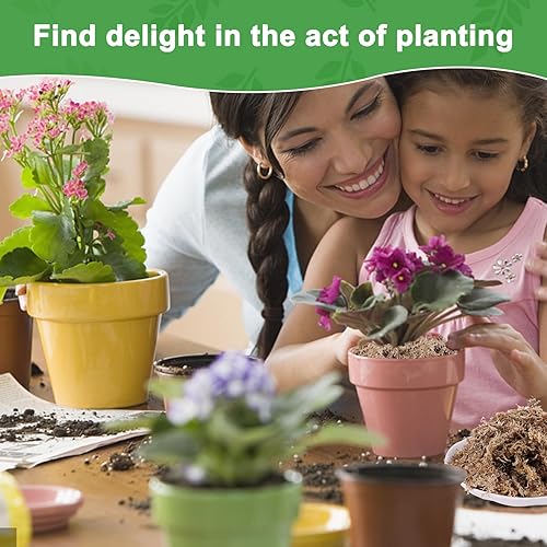 Miniatura 7 de Sphagnum - Mezcla de musgo para macetas, plantas carnívoras naturales secas de musgo para orquídeas sarracenia, plantas de jardinería y reptiles