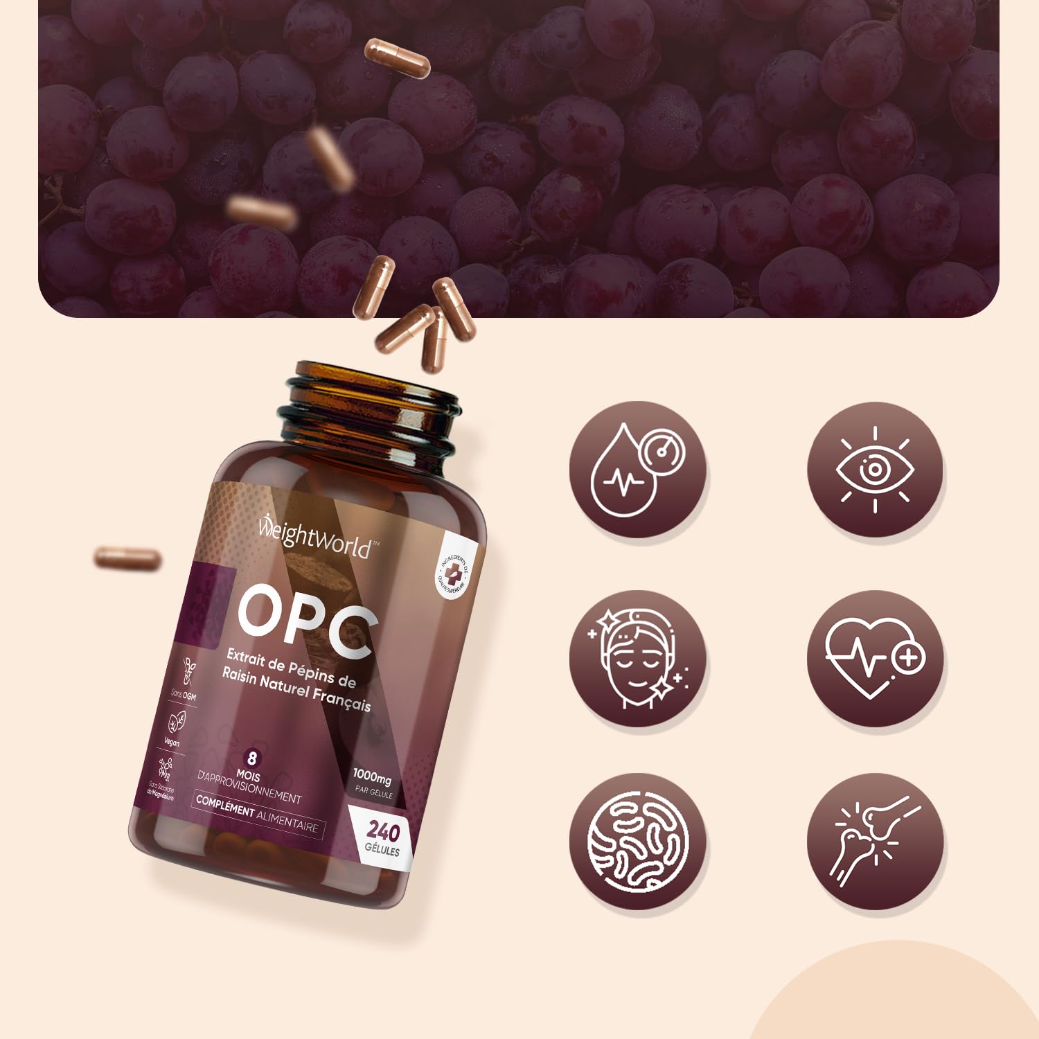 OPC Extrait de Pépins de Raisin Français (French Grapeseed Extract) - 240 Gélules Vegan pour 8 Mois d'Apport - 95% de Proanthocyanidines Oligomériques - Vitis Vinifera L. avec Polyphénols, sans OGM