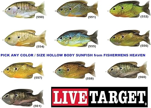 Miniatura 2 de Señuelo de pesca LiveTarget con forma de pez luna y cuerpo hueco para superficie anzuelo #40, Multi, 3"