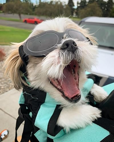 Miniatura 6 de NAMSAN Gafas de sol para perros pequeños, protección UV, ajustables, transparentes, fáciles de usar, resistentes al viento, para motocicleta,