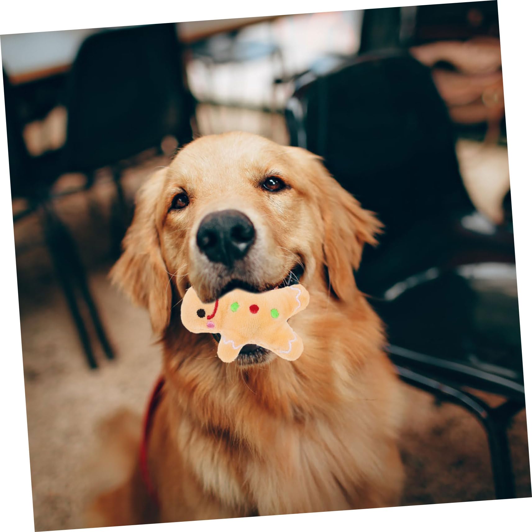 Jouet Peluche Chien à Mâcher pour Noël Nettoie Dents et Réduit Comportement Destructif Sûr
