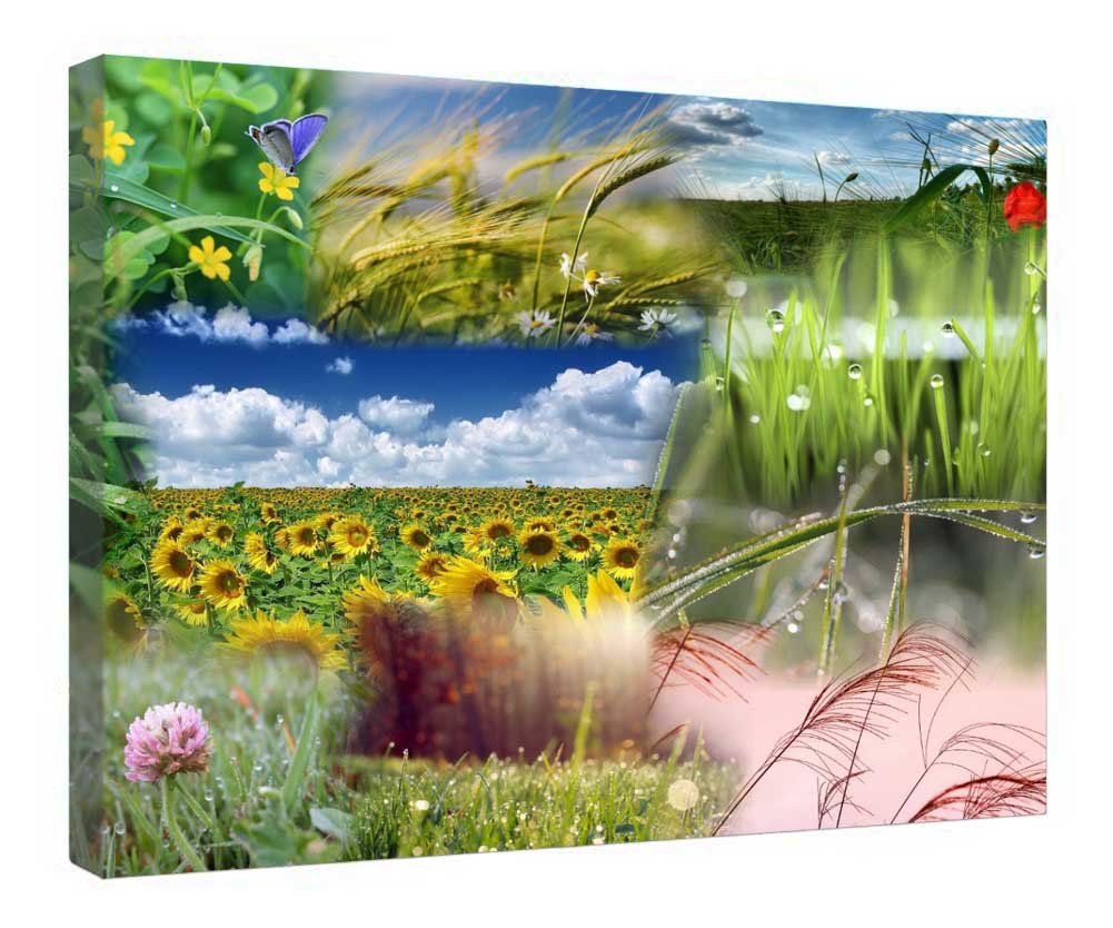 Impression sur toile prête à être accrochée sans effort cadre en bois rigide
